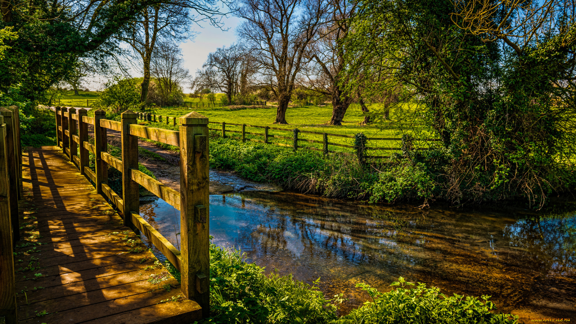 природа, реки, озера, простор