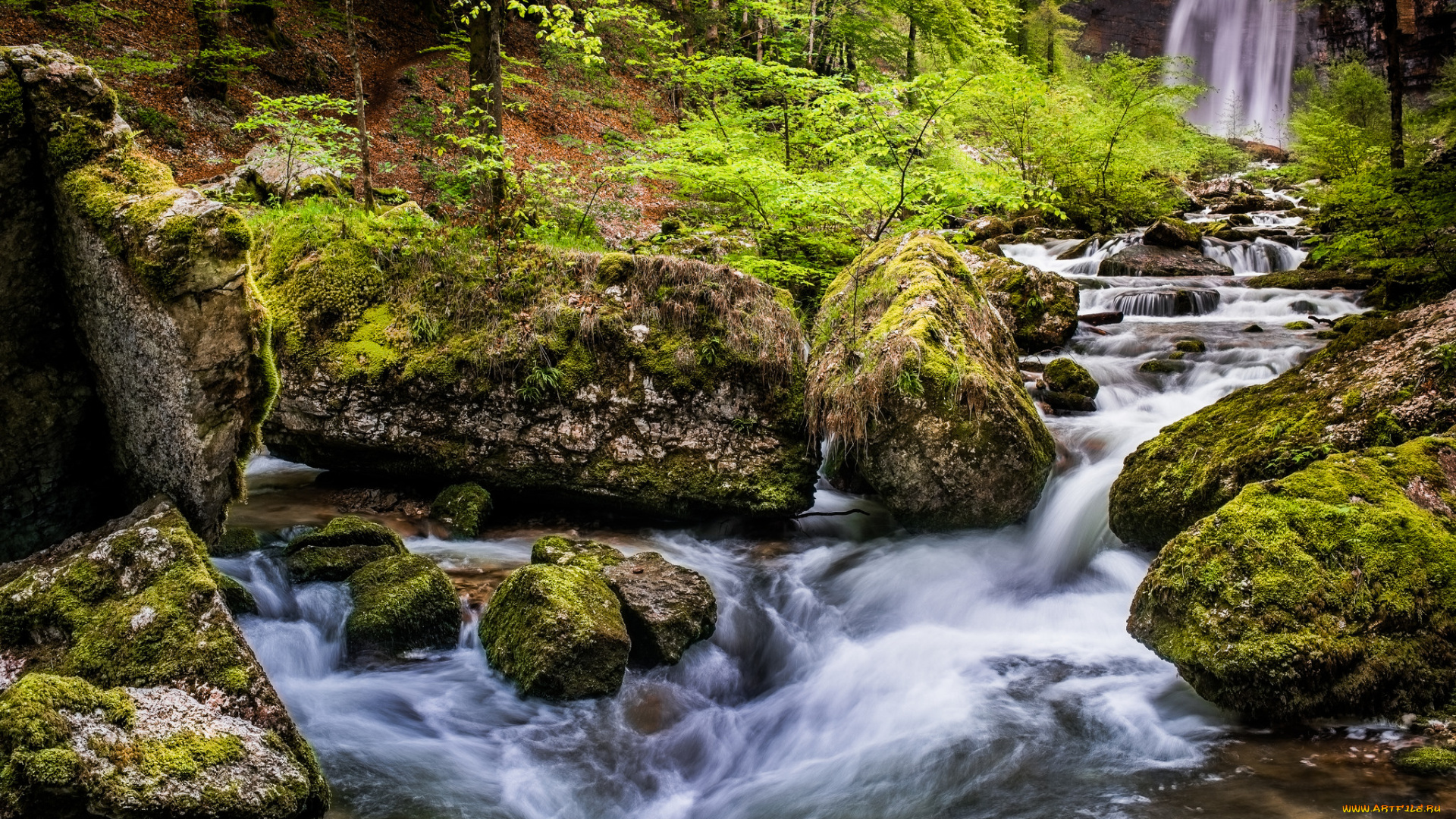 природа, реки, озера, простор