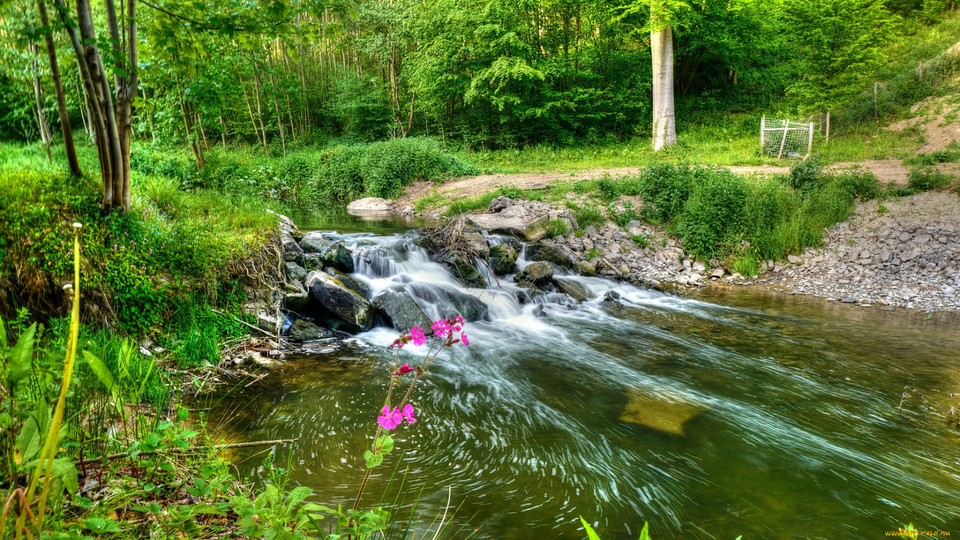 природа, реки, озера, простор