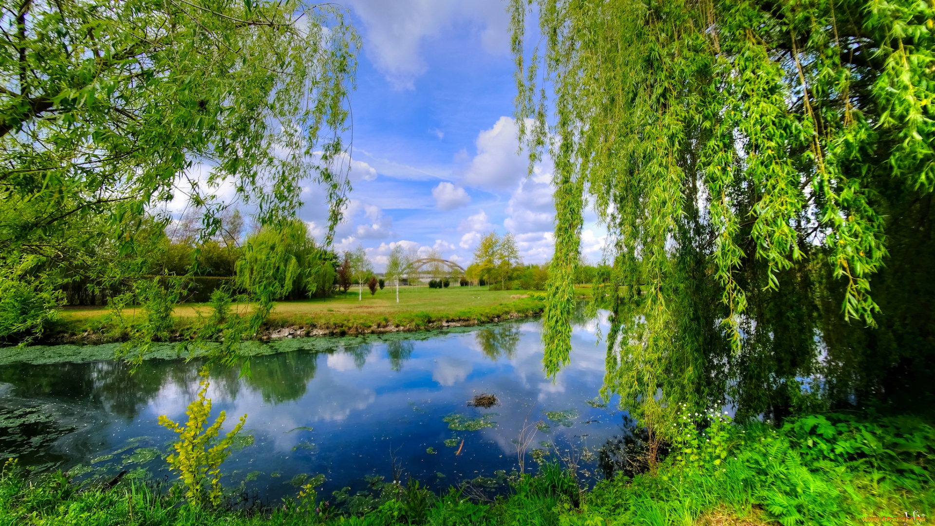 природа, реки, озера, простор