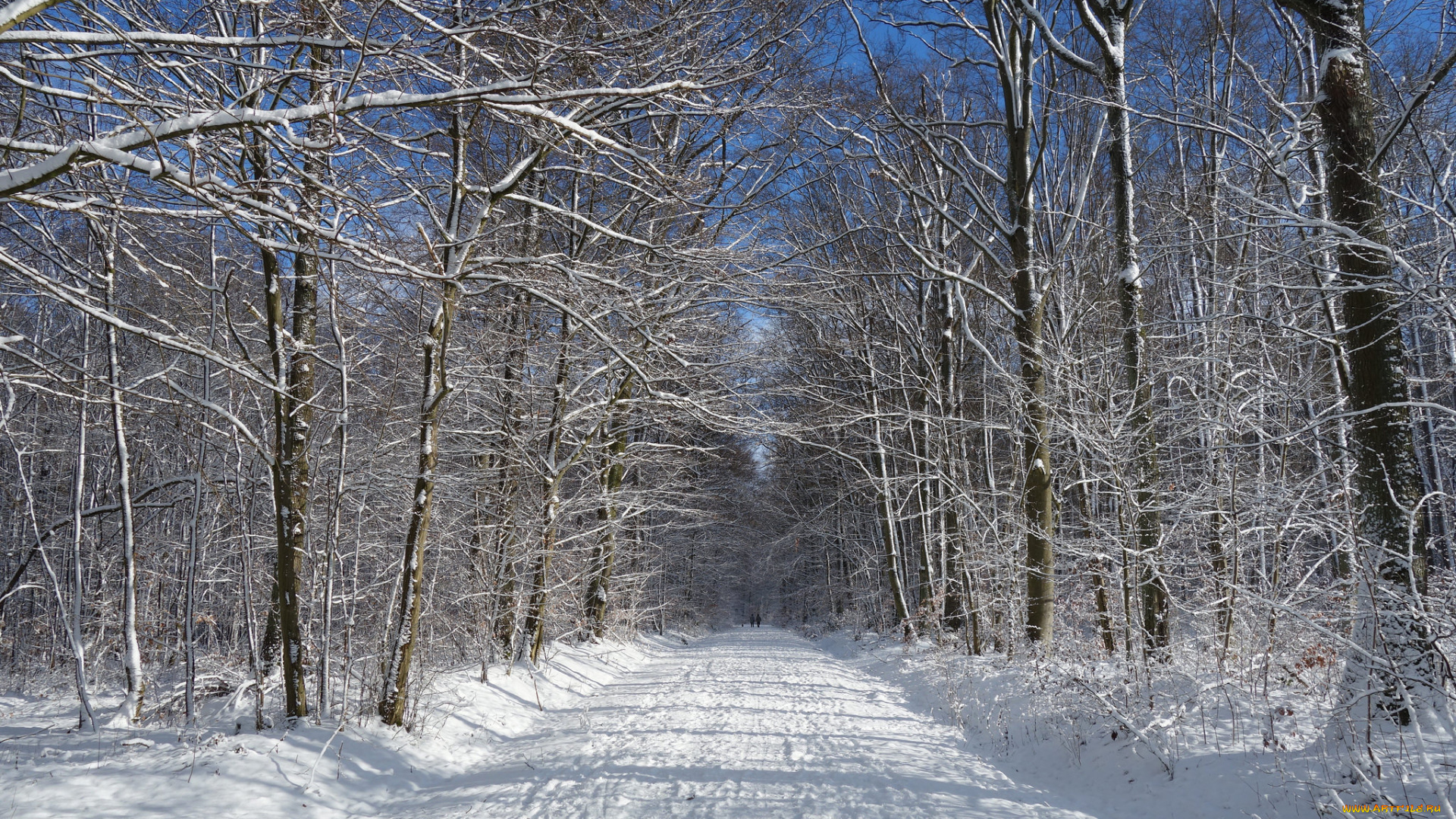 природа, зима, простор