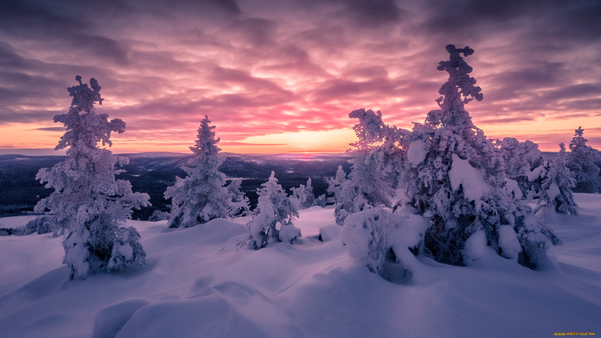 природа, зима, простор