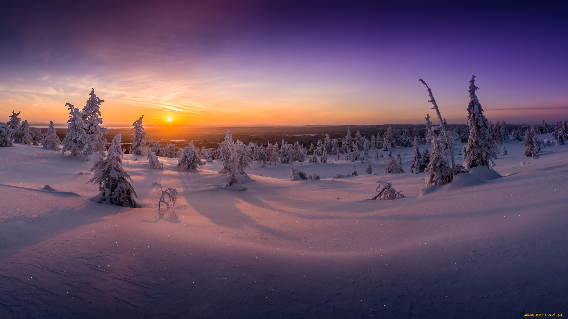 природа, зима, простор