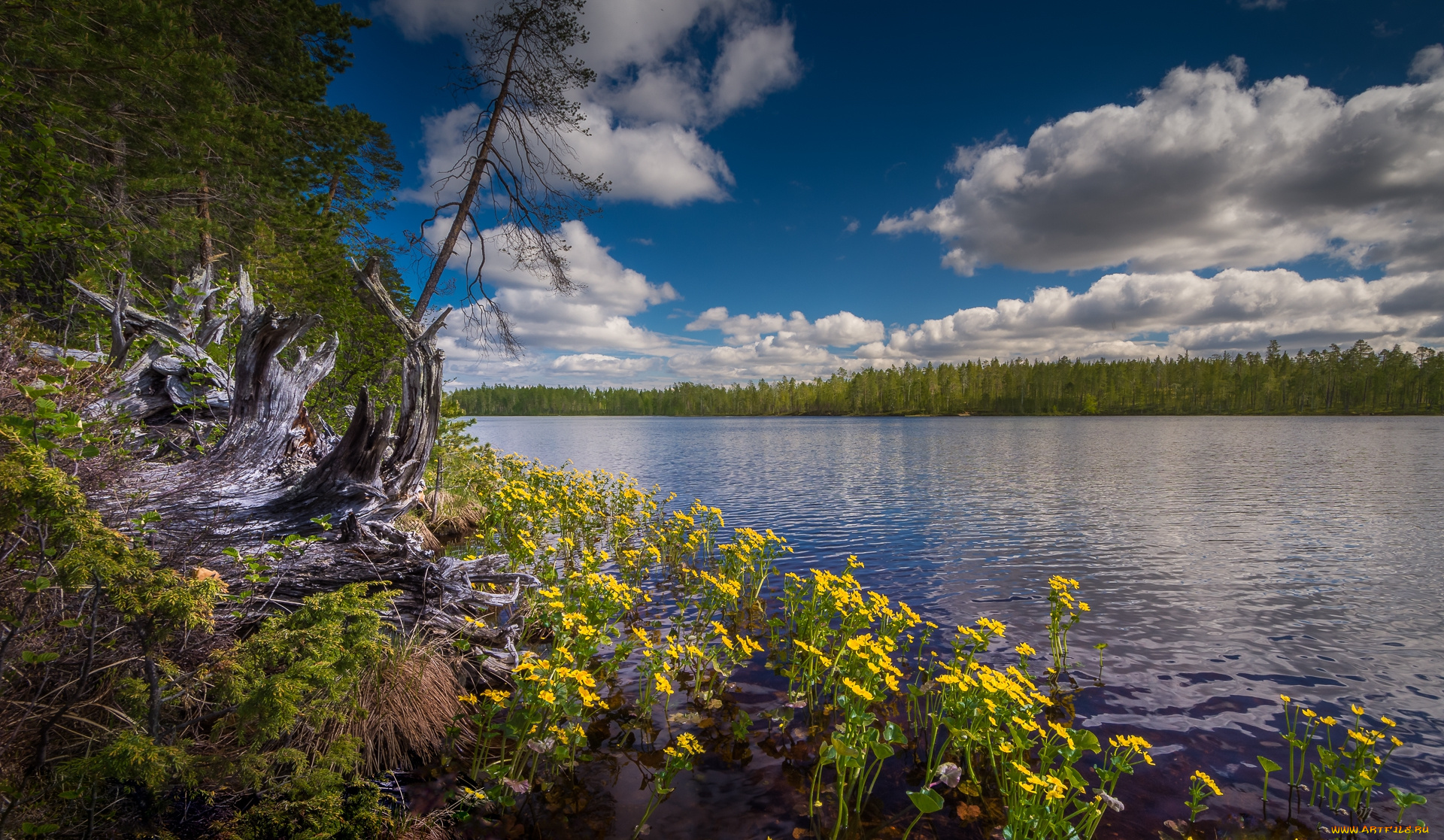 природа, реки, озера, простор