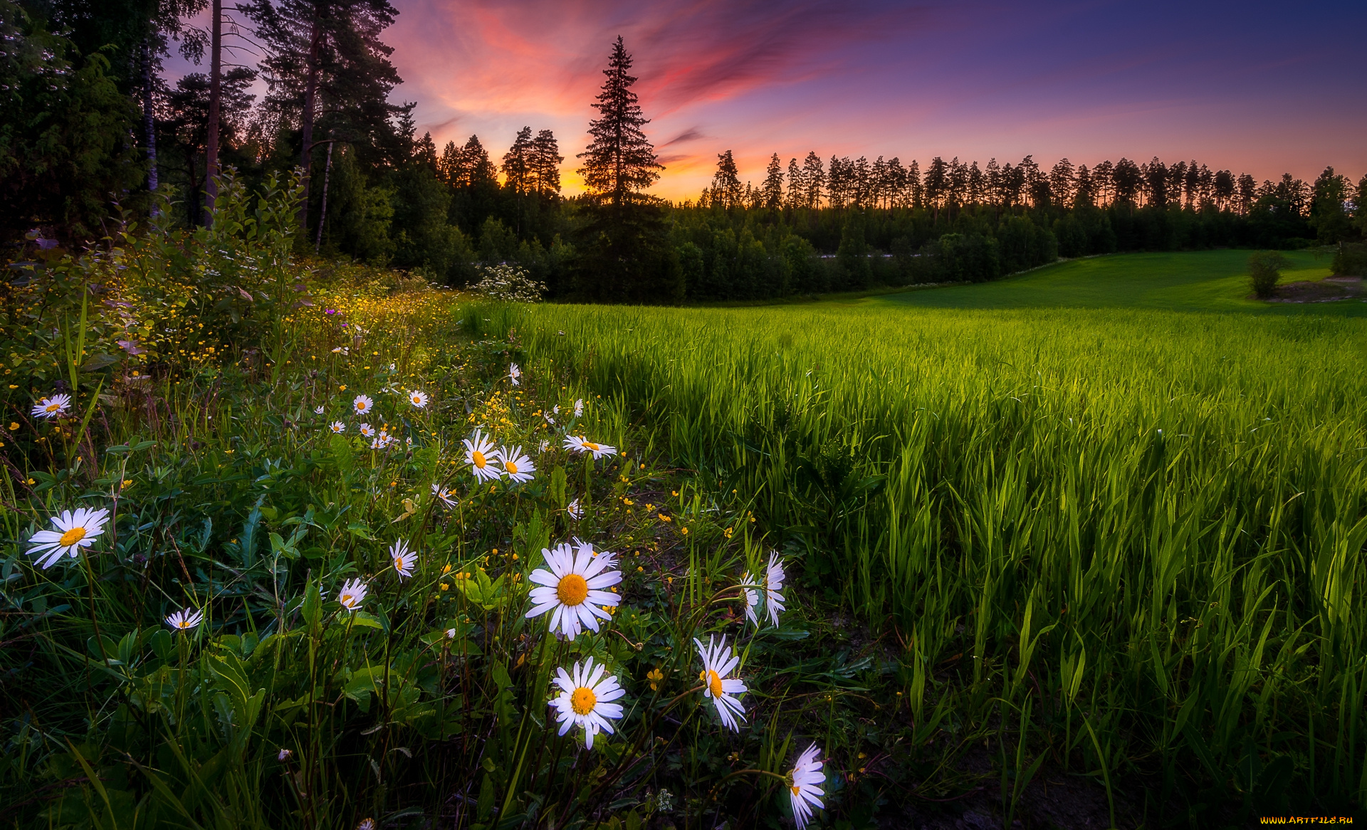 природа, пейзажи, простор