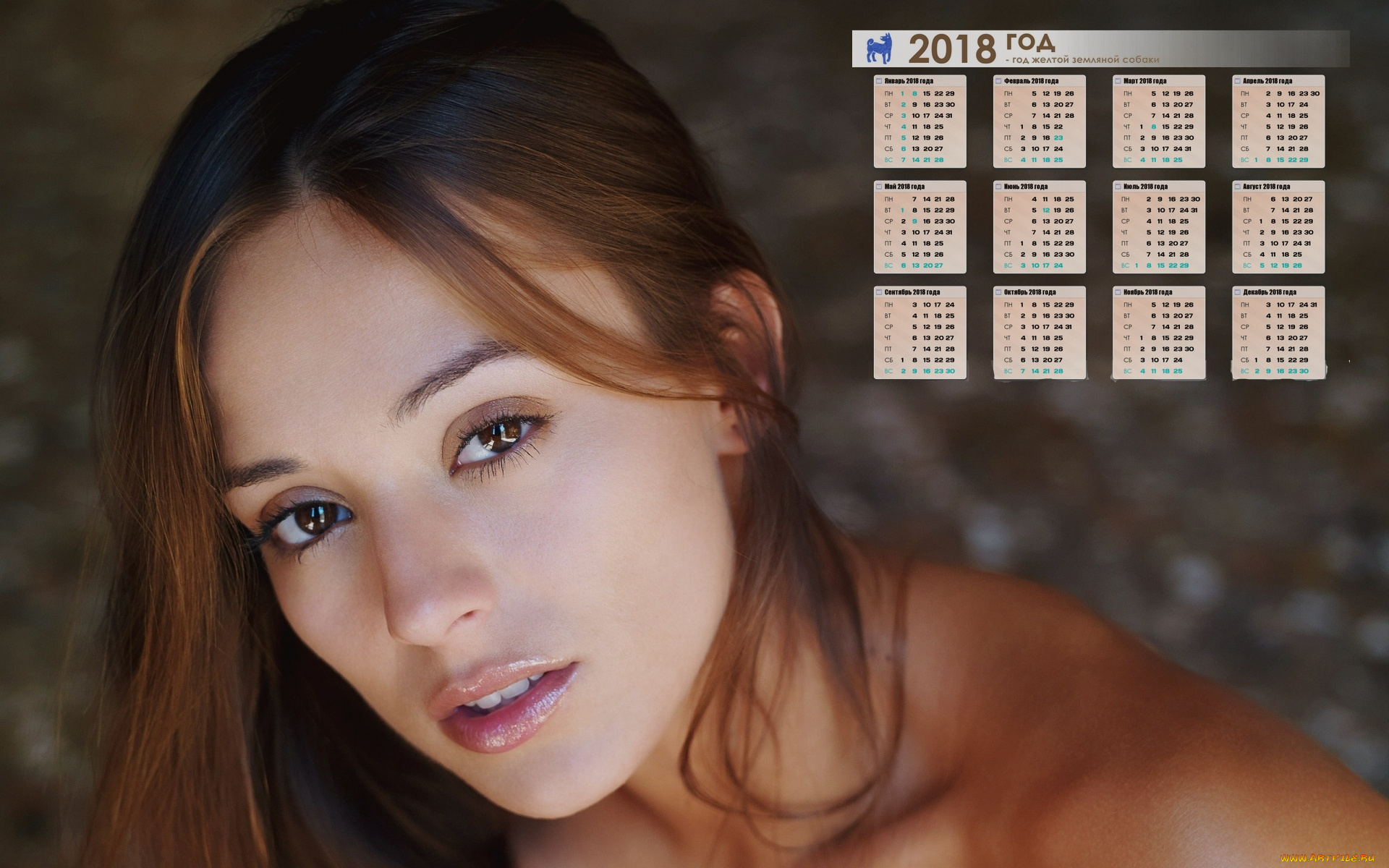 календари, девушки, взгляд, лицо