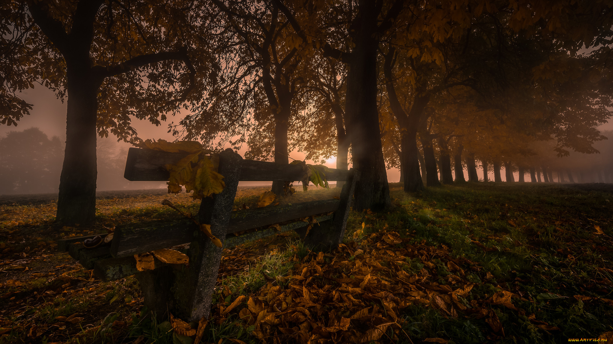 природа, пейзажи, простор