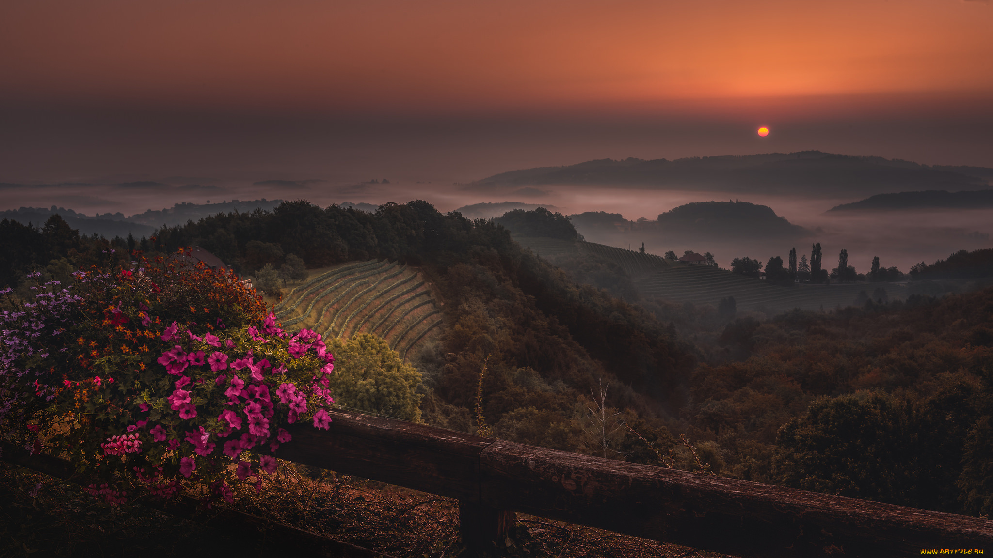 природа, восходы, закаты, простор