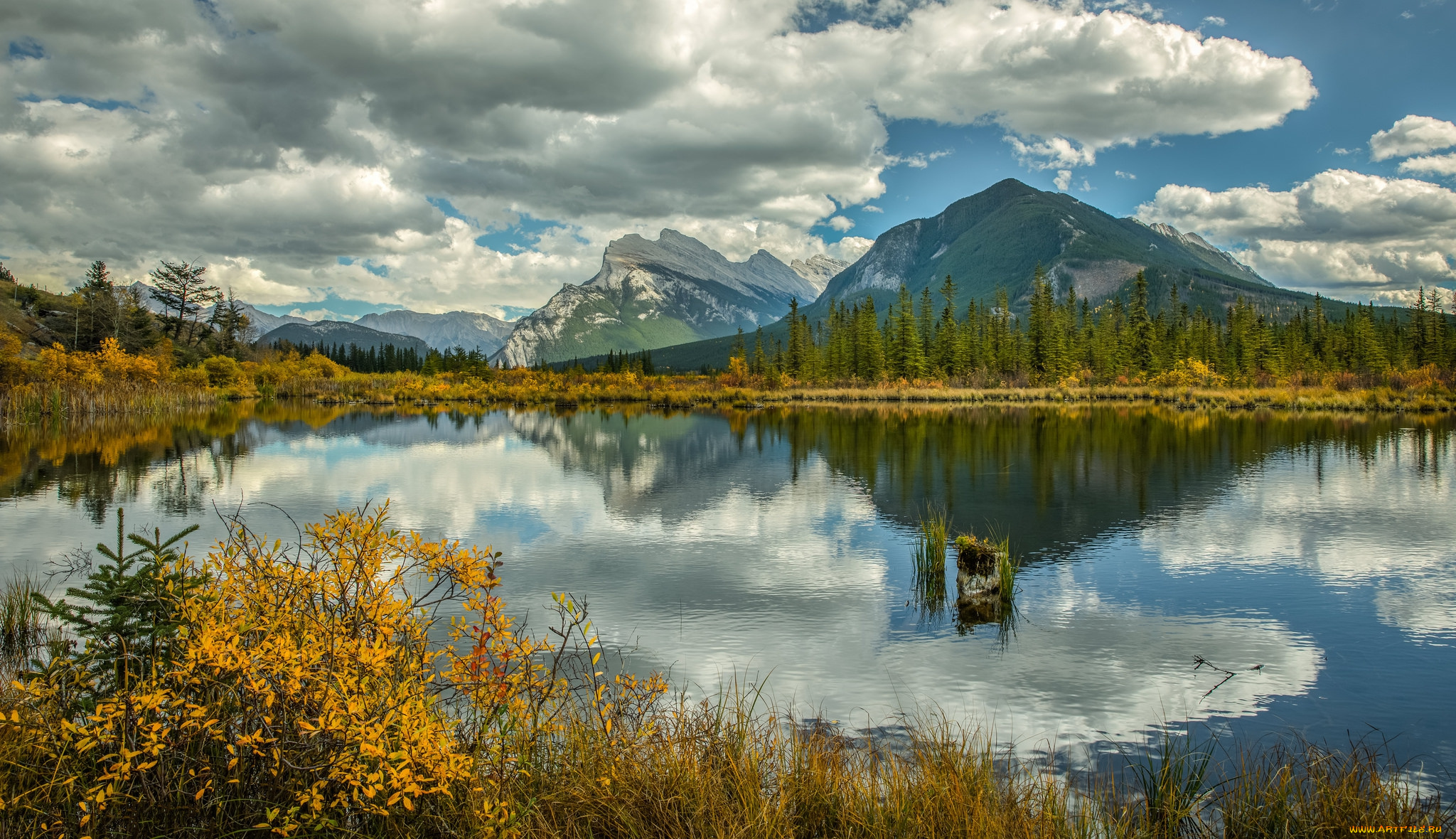 природа, реки, озера, простор