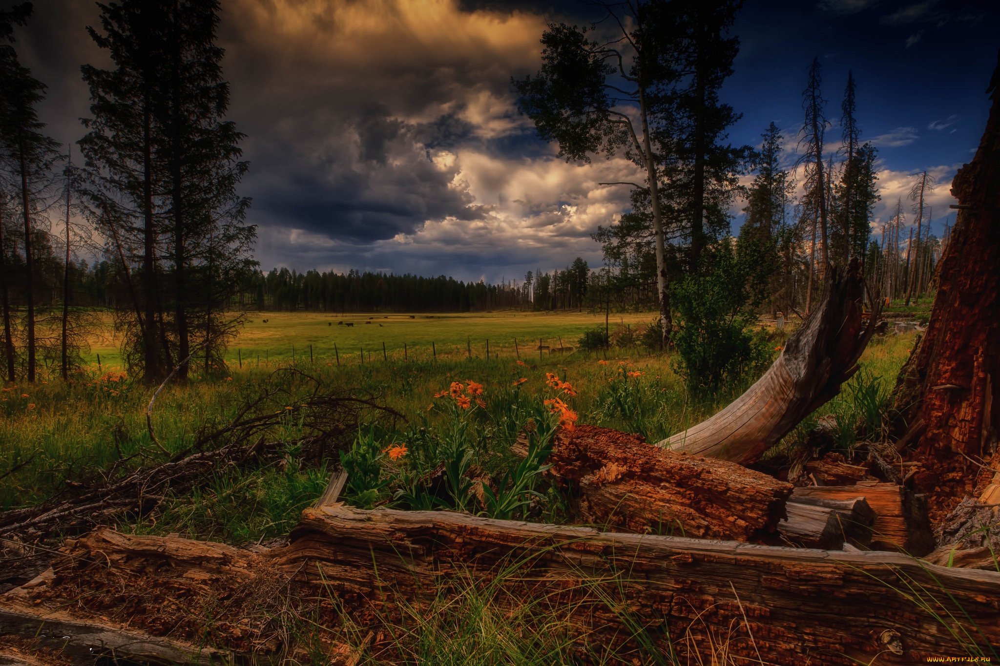 природа, пейзажи, простор