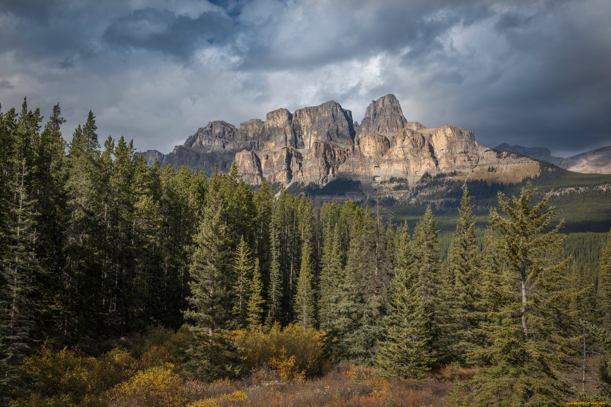 природа, горы, простор