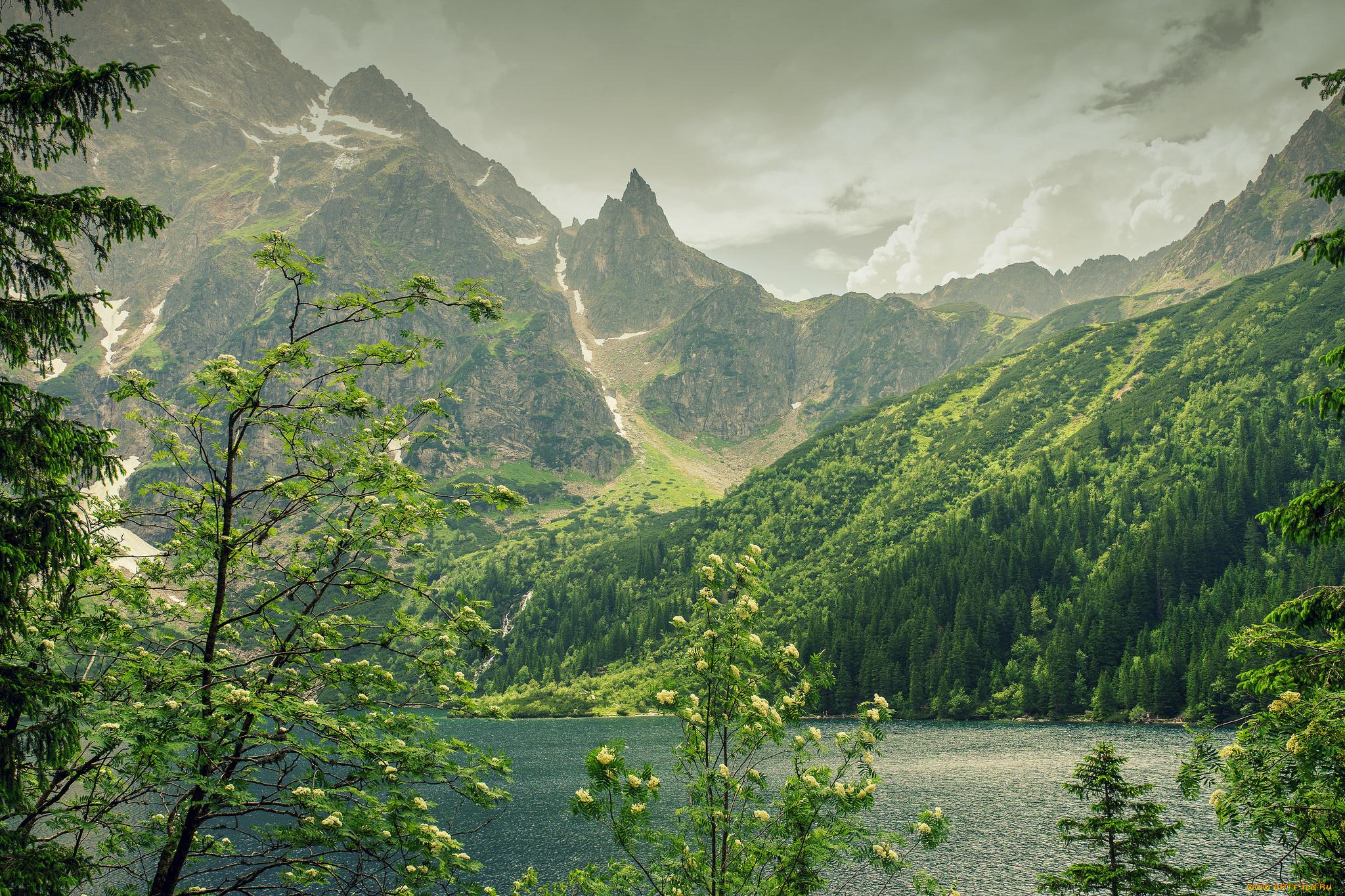 природа, реки, озера, простор