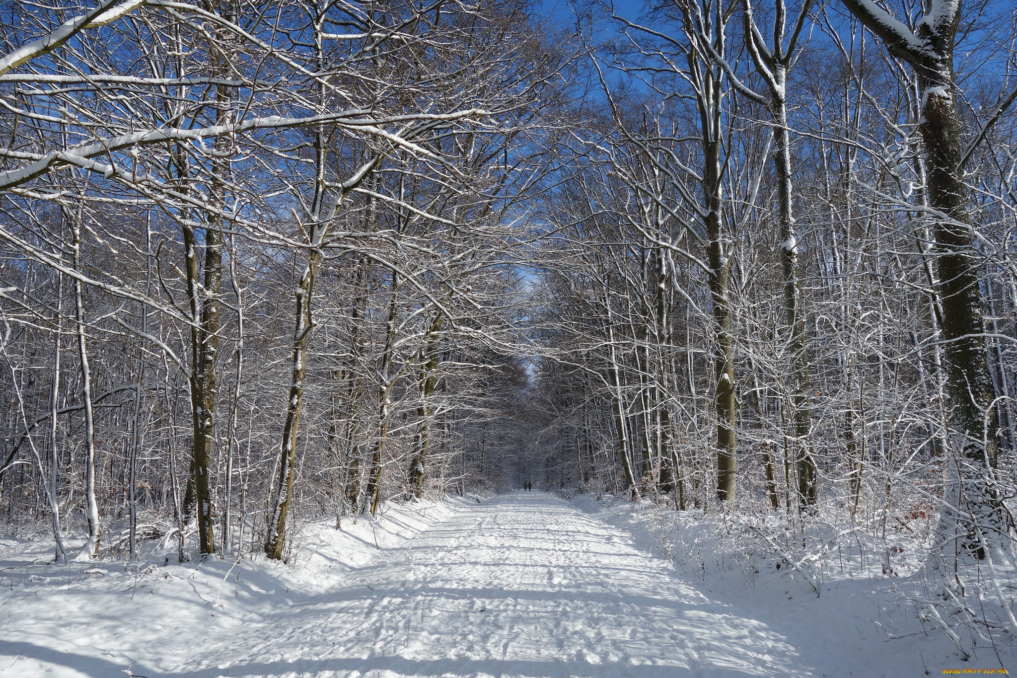 природа, зима, простор