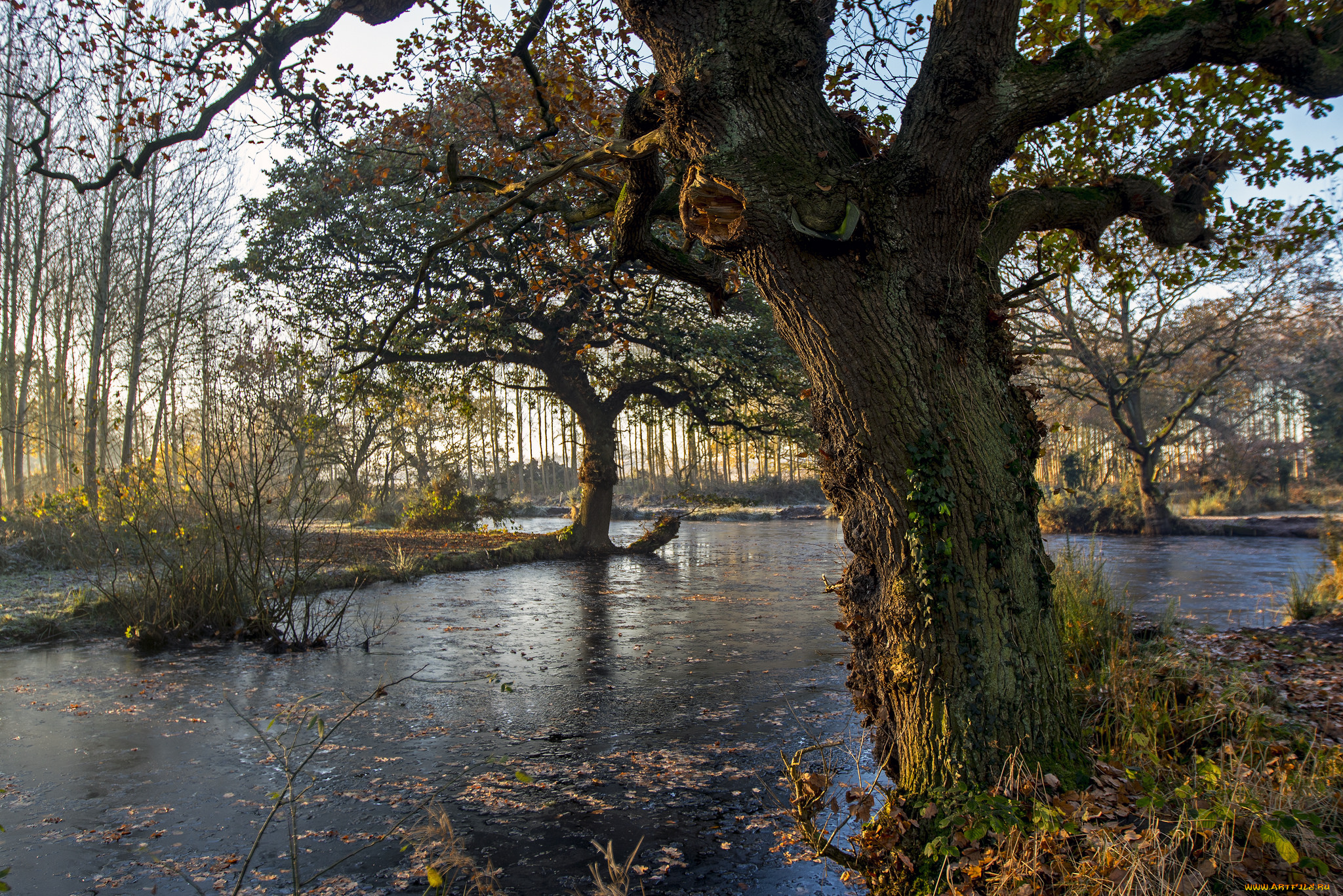 природа, реки, озера, простор