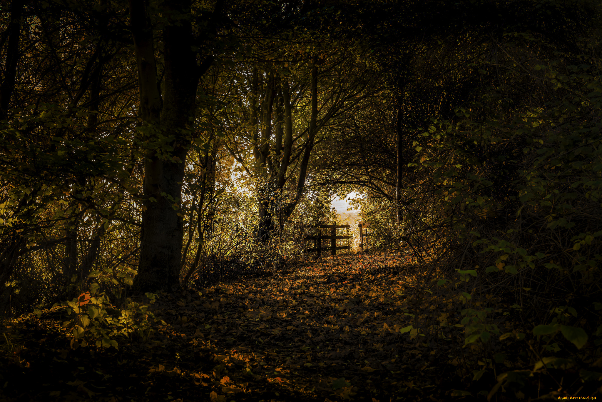 природа, дороги, простор