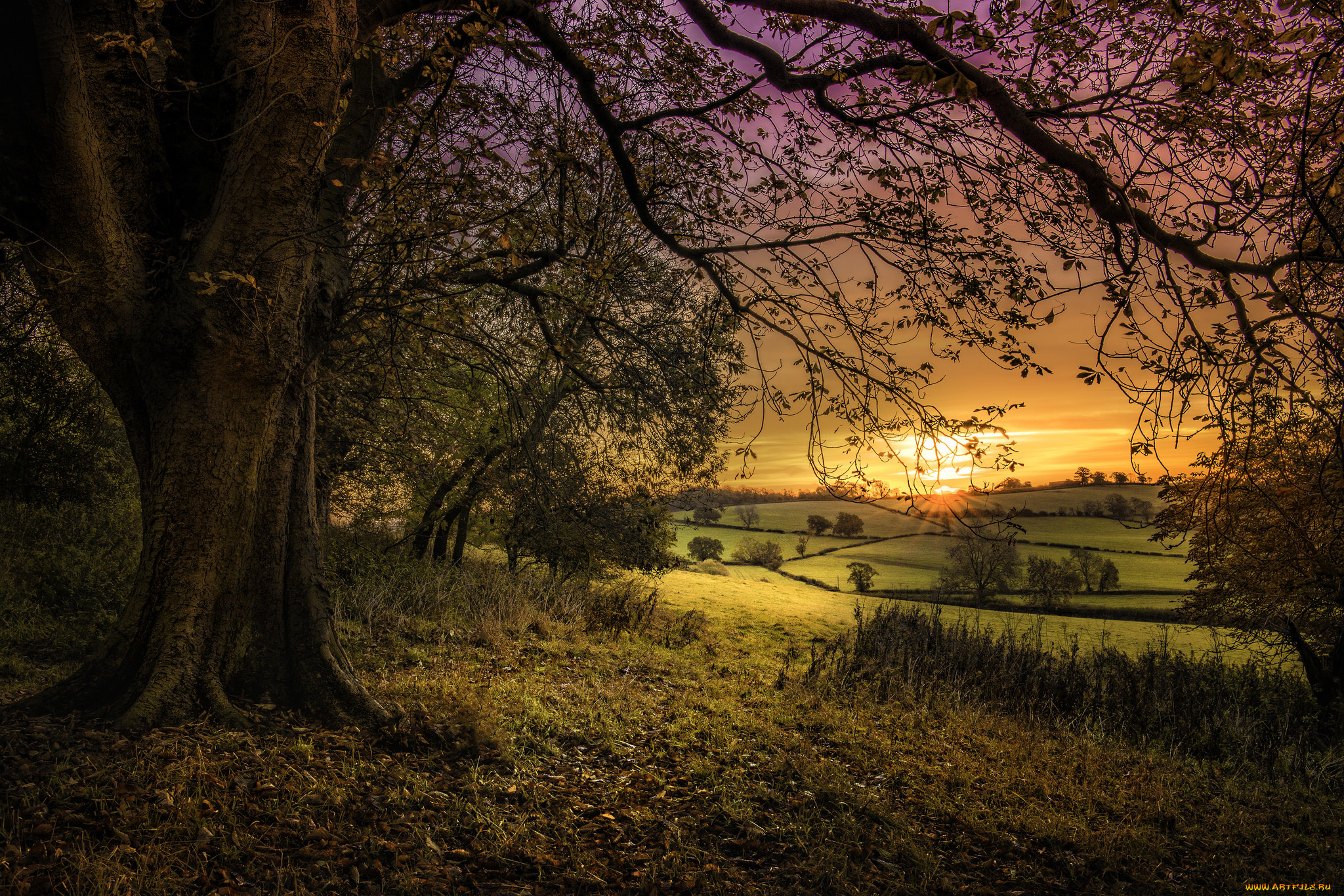 природа, пейзажи, простор