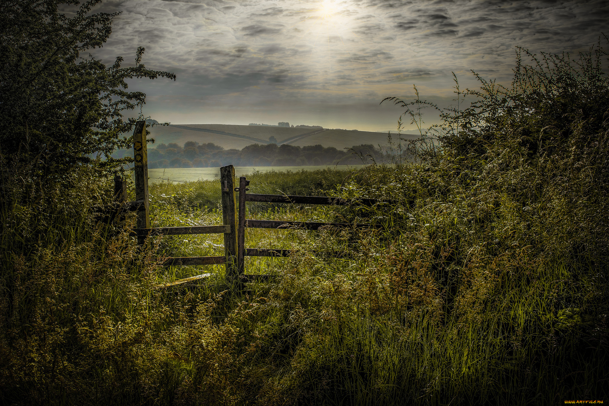 природа, пейзажи, простор