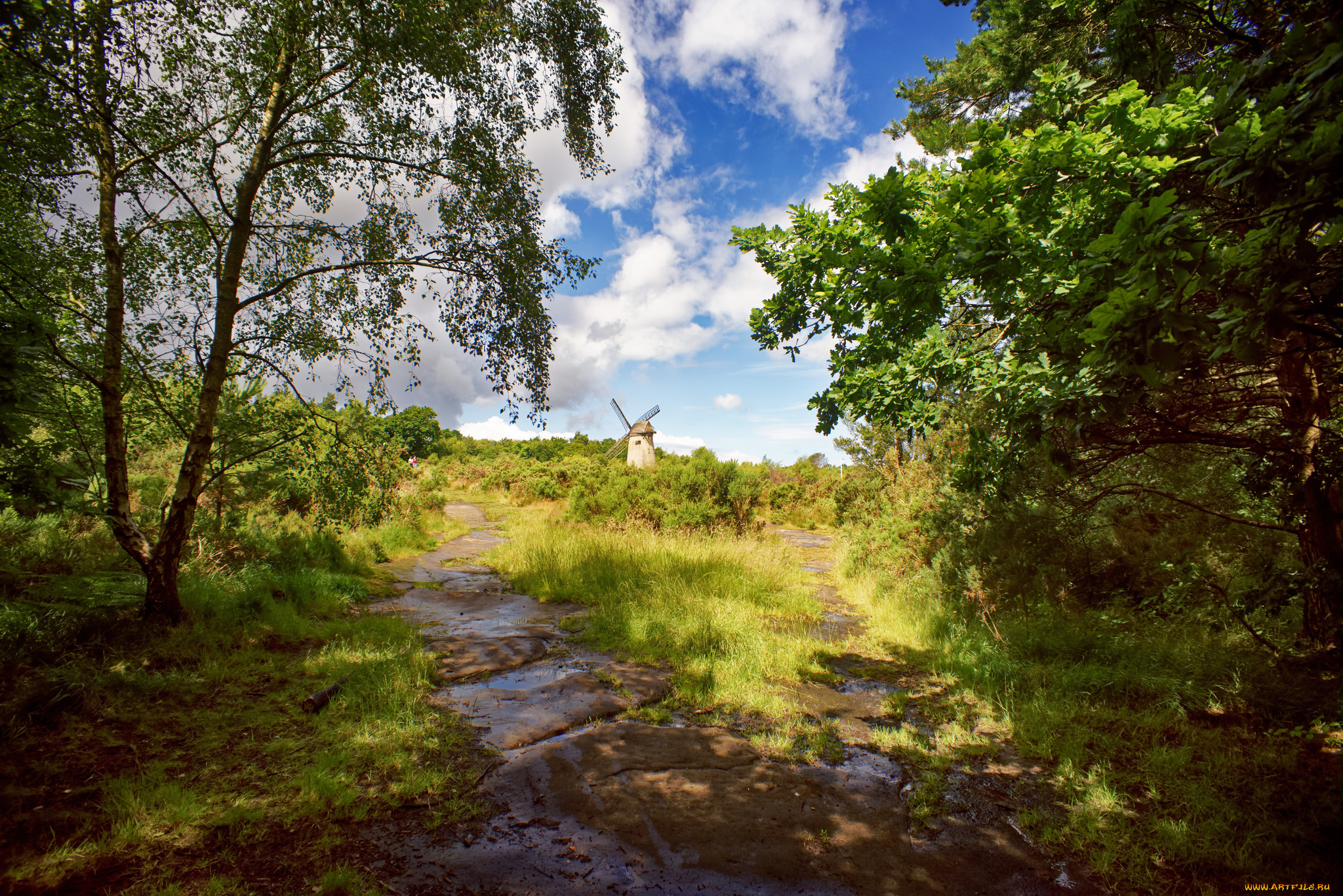 природа, пейзажи, простор