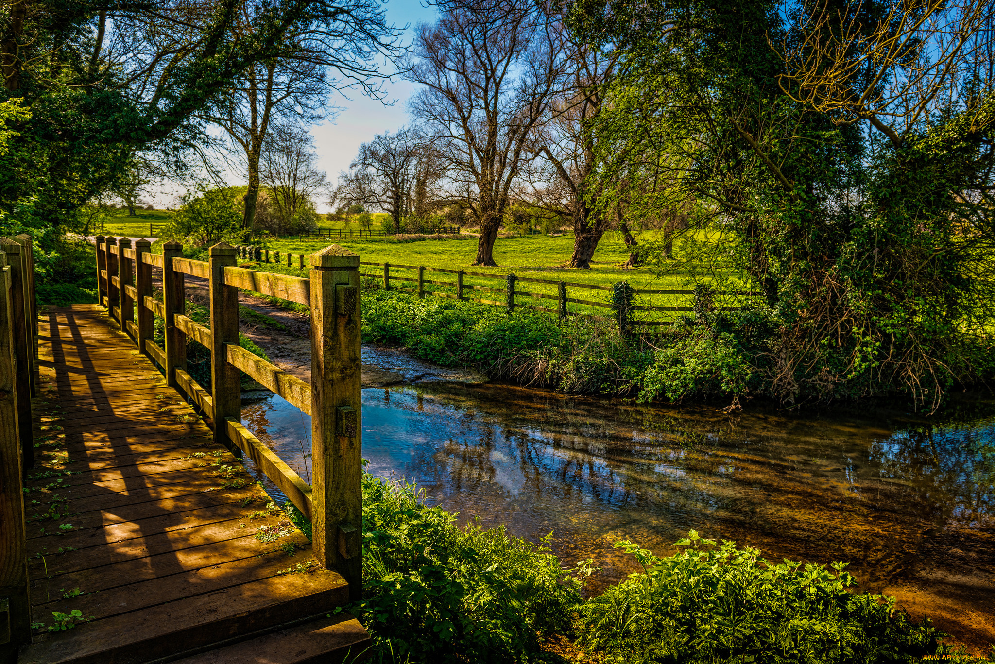 природа, реки, озера, простор