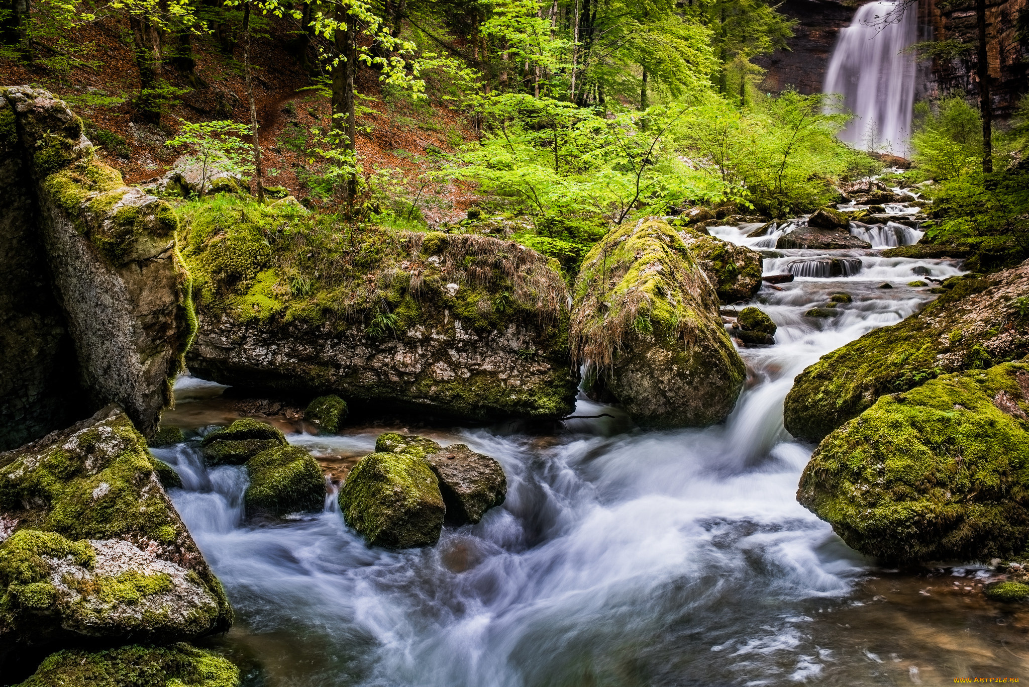 природа, реки, озера, простор