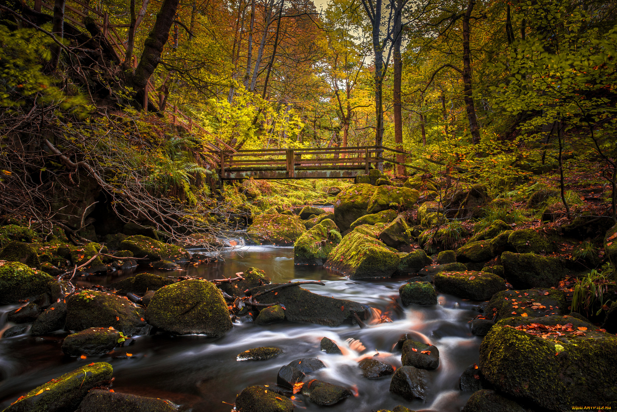 природа, реки, озера, река, лес