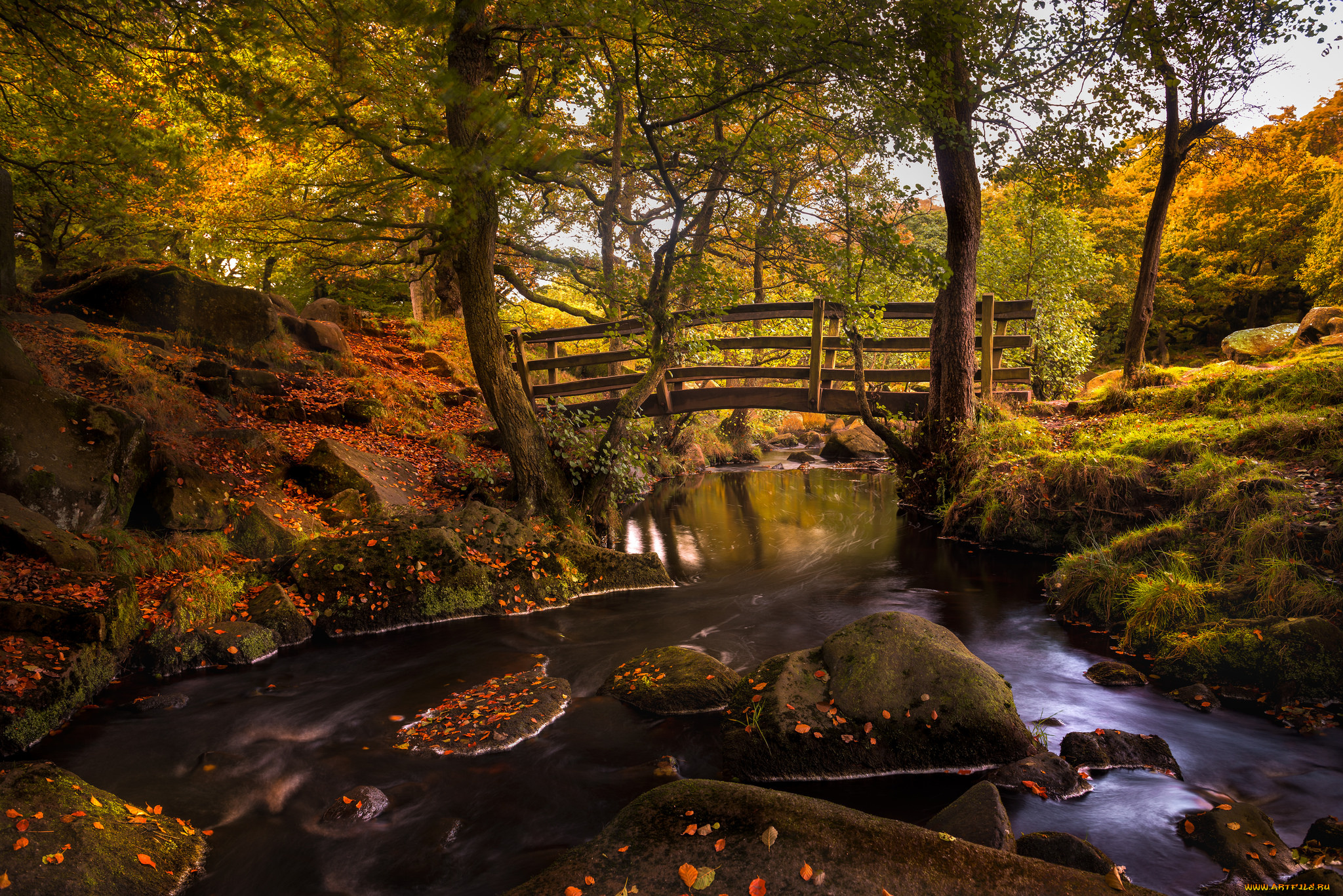 природа, реки, озера, река, лес