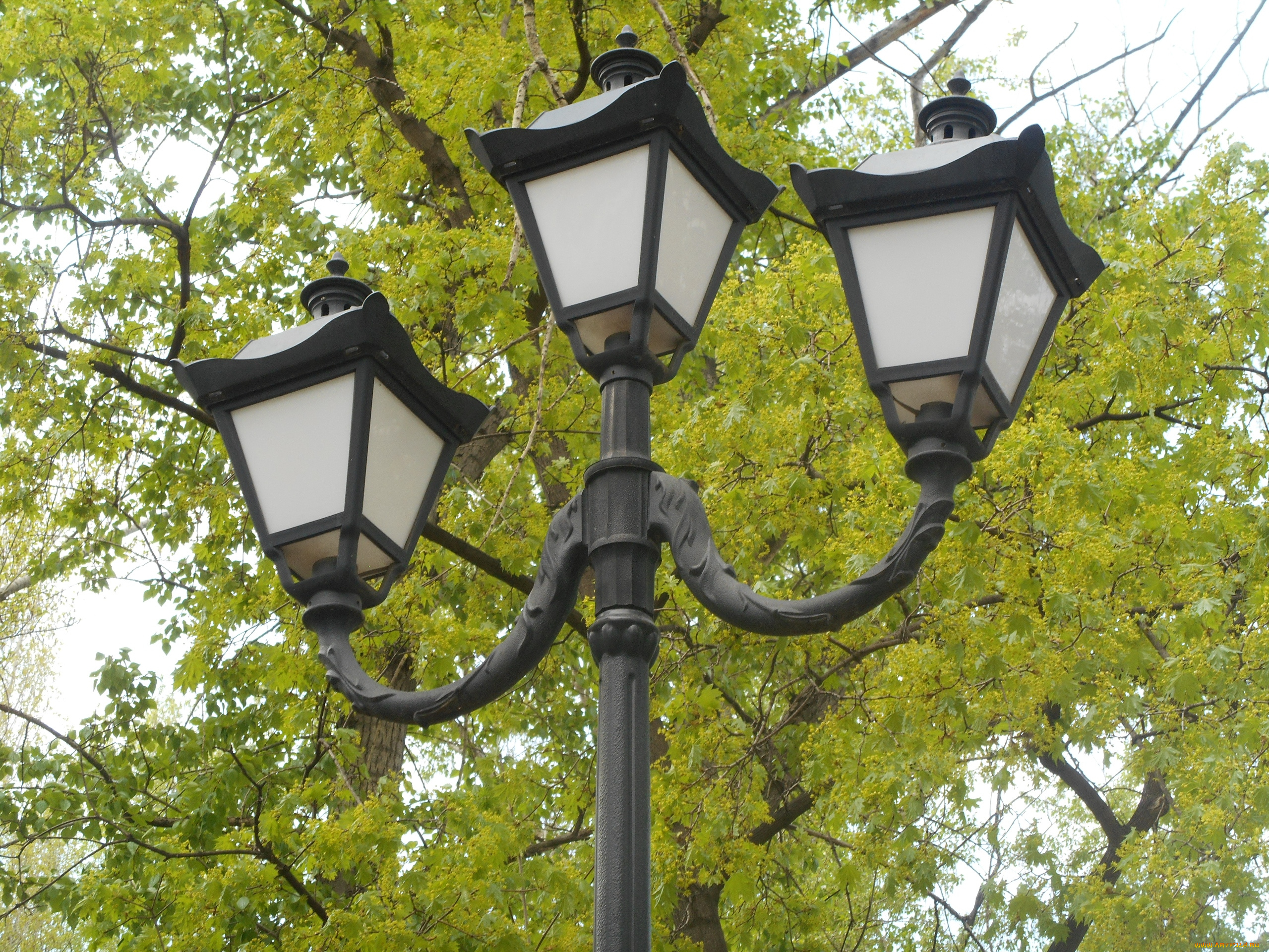 фонарь, города, -, другое, город, зимний, город, городское, освещение, светильник, городской, фонарь, город, зимой