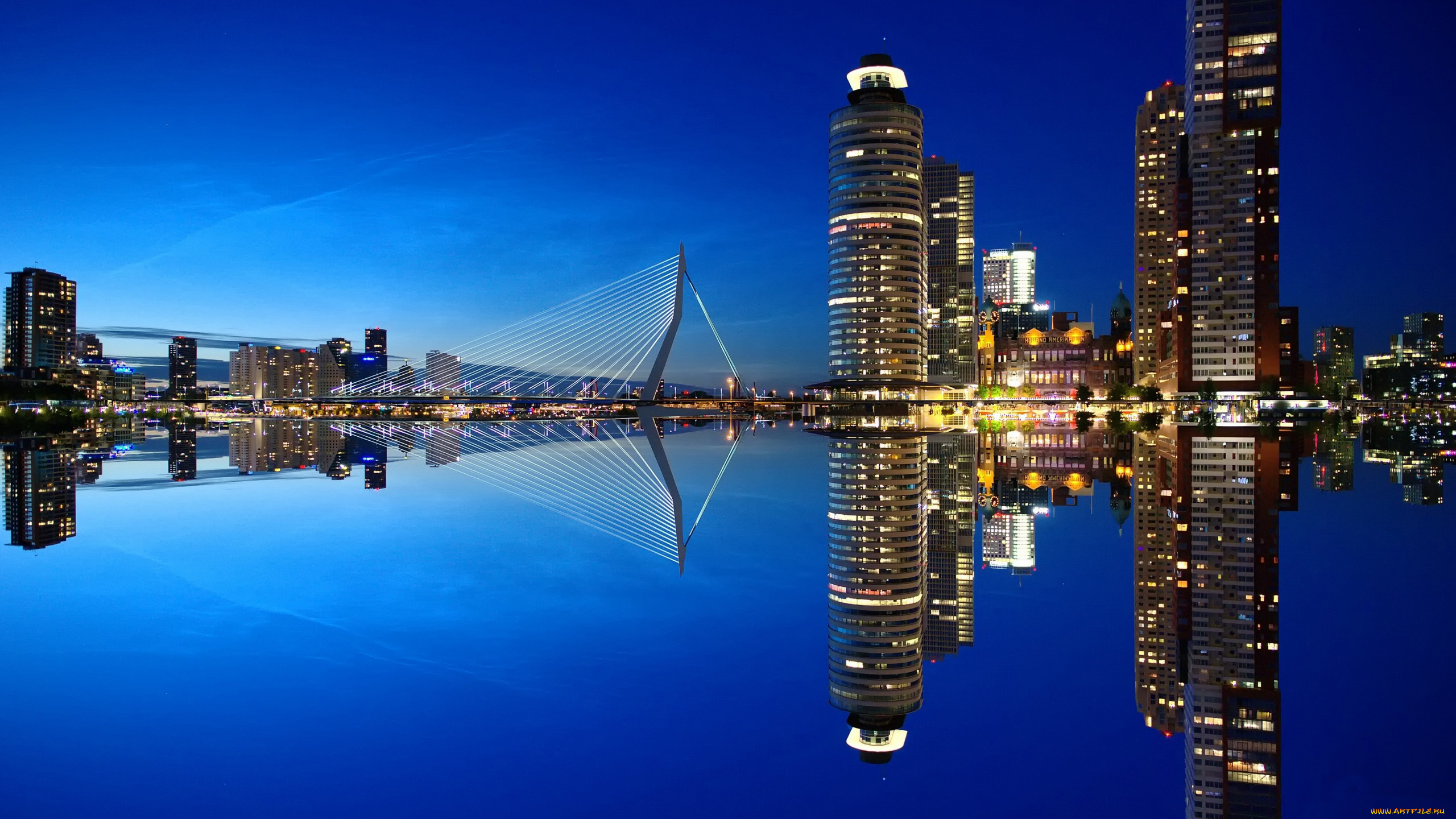 роттердам, города, -, огни, ночного, города