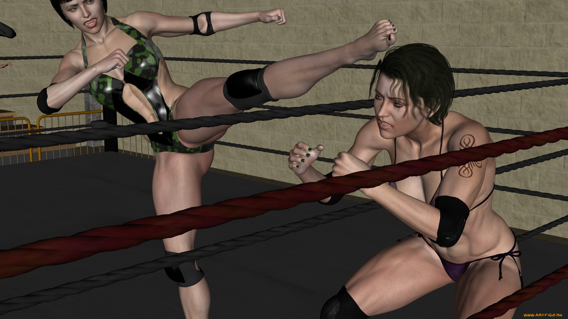 3д, графика, спорт, , sport, фон, взгляд, борьба, девушки