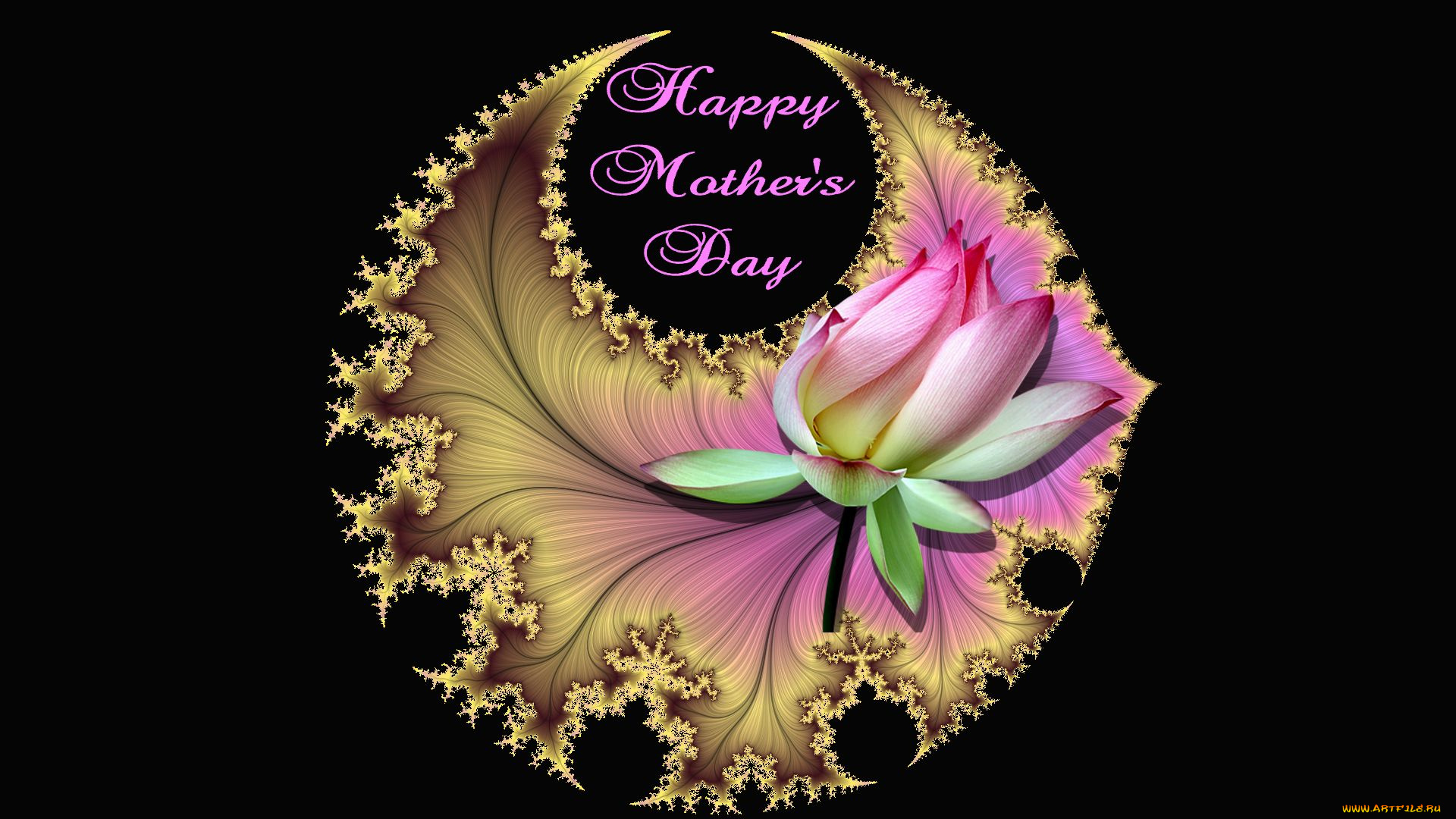 праздничные, день, матери, лотос, цвет, фон, узор