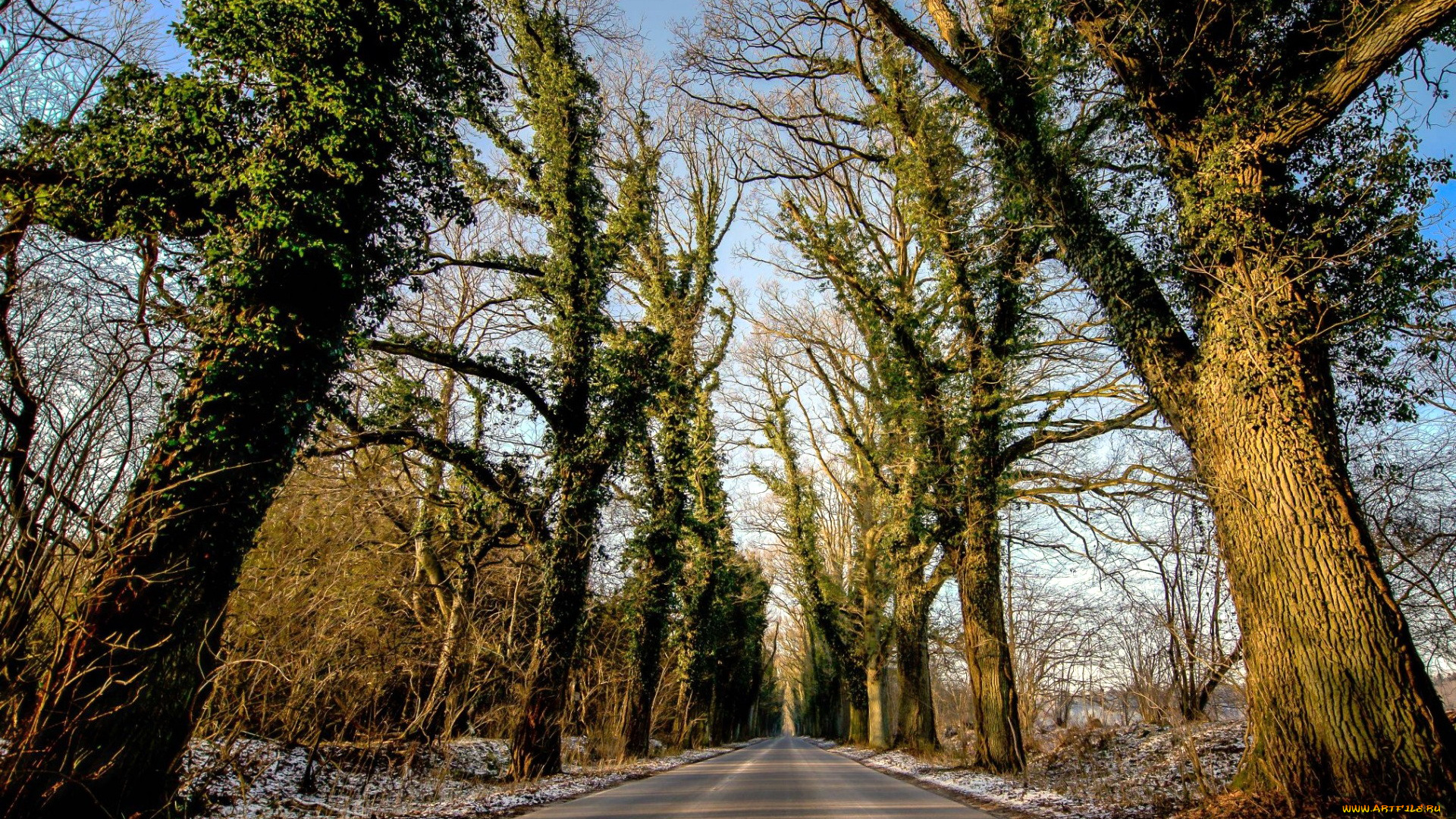 природа, дороги, шоссе