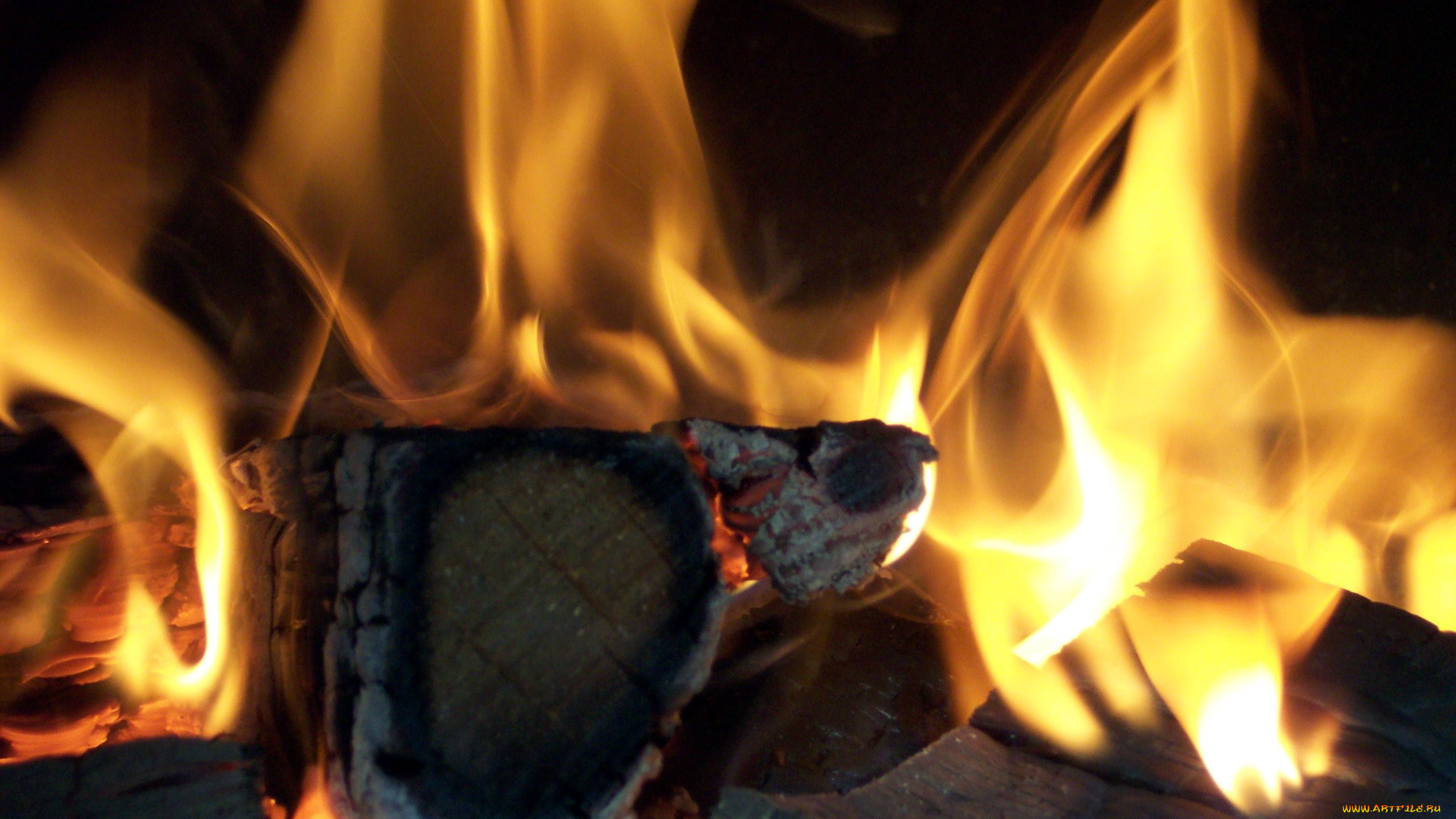 природа, огонь, пламя, костер