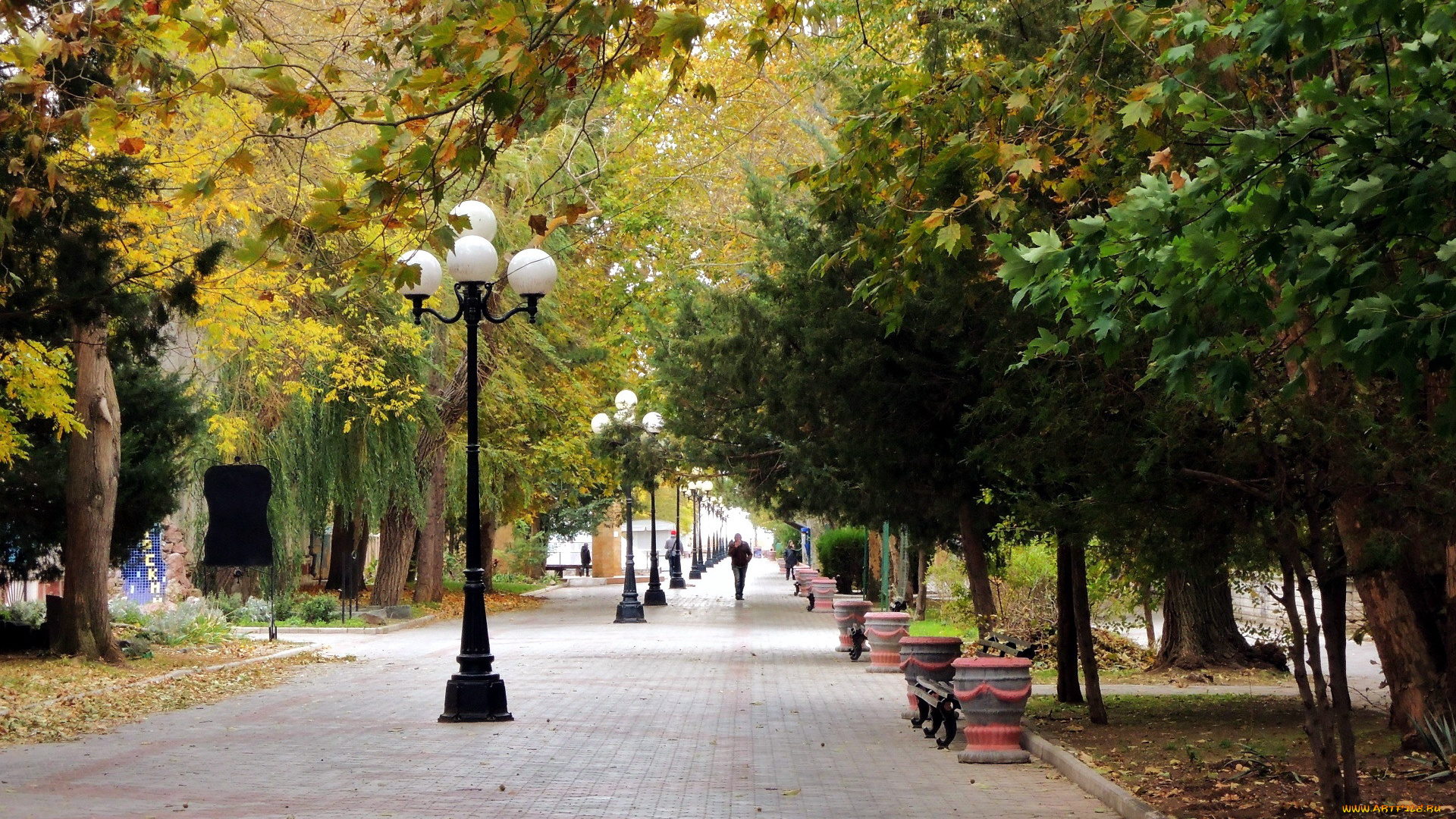 природа, парк, аллея