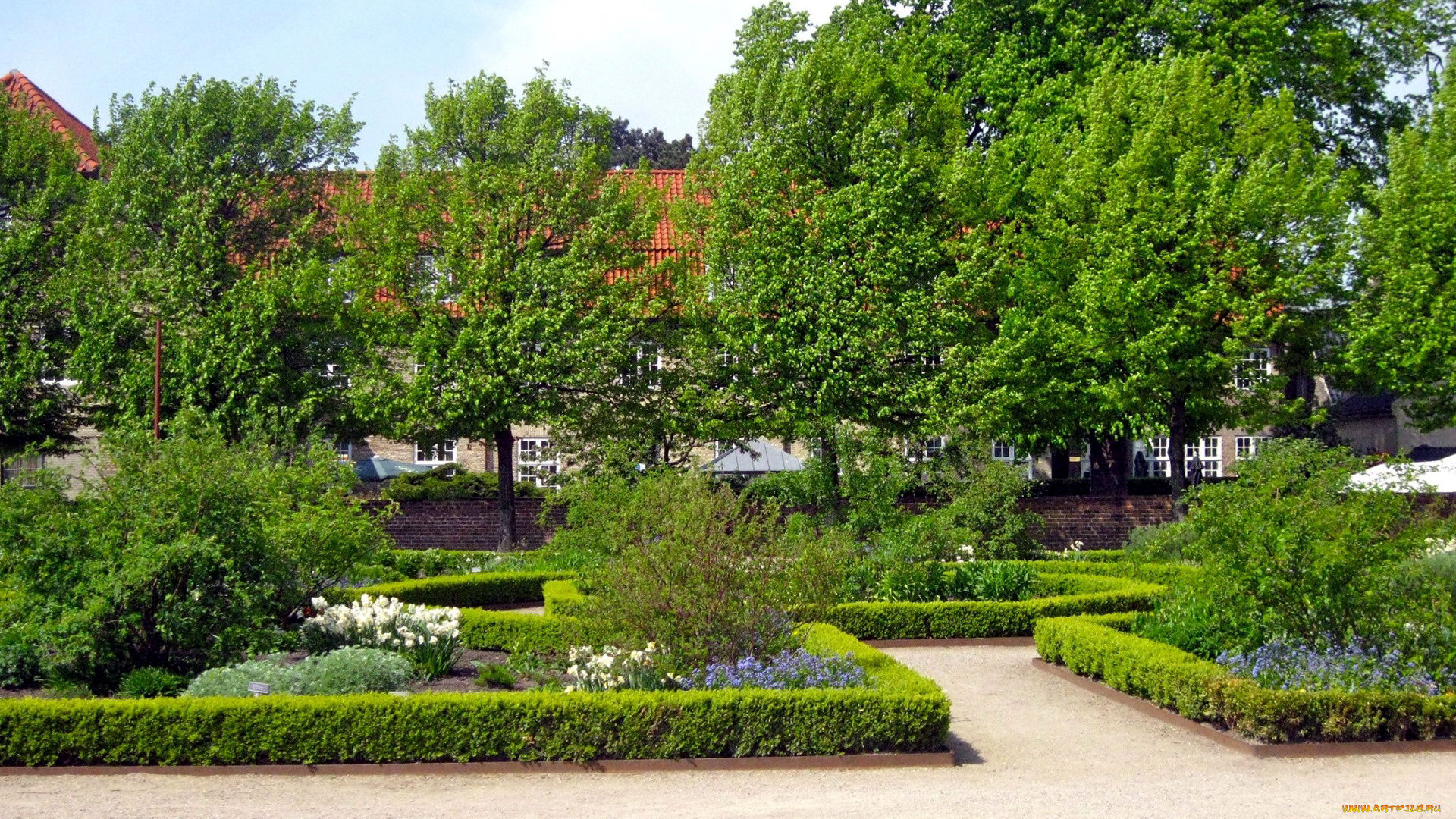 природа, парк, клумбы