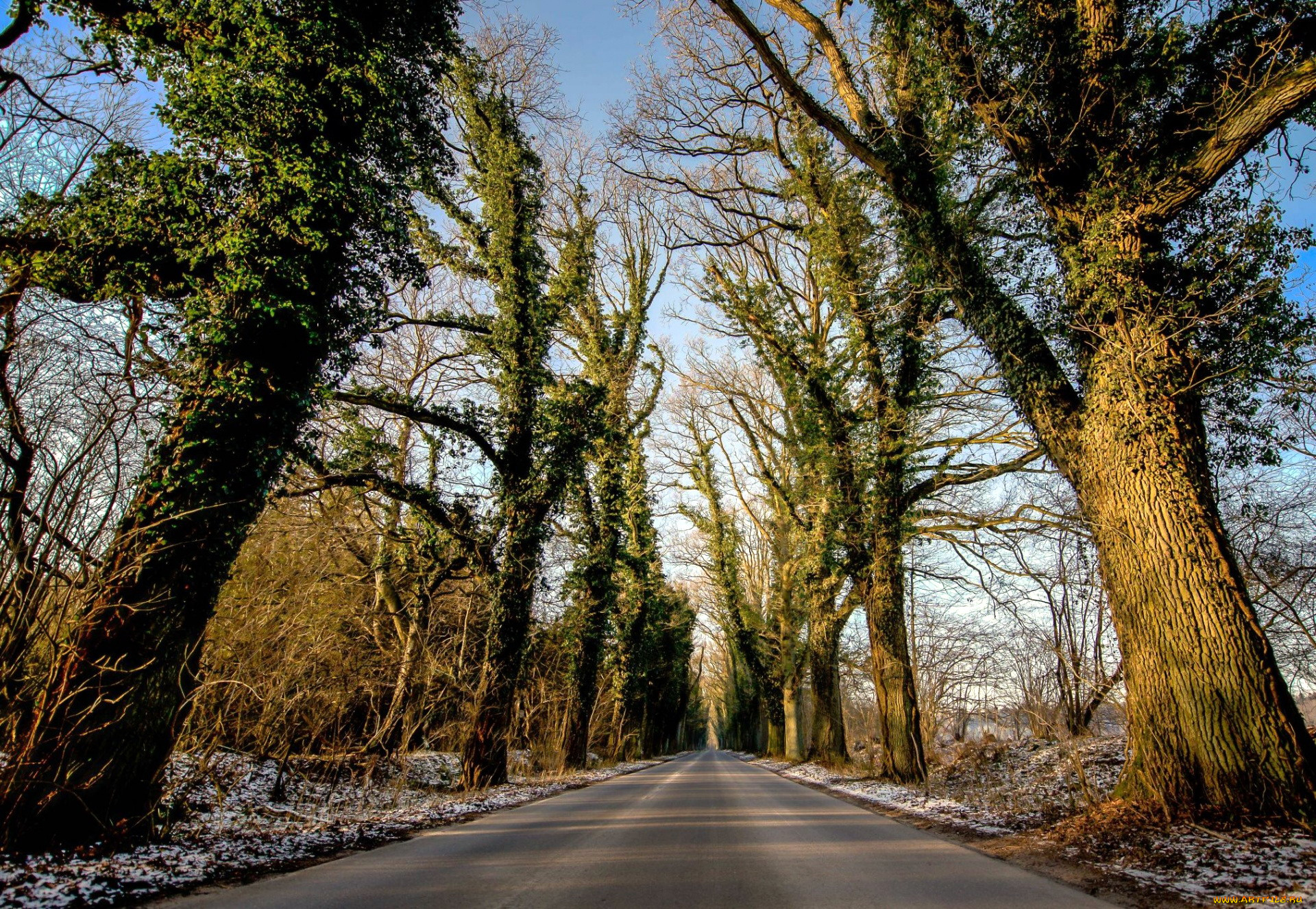 природа, дороги, шоссе