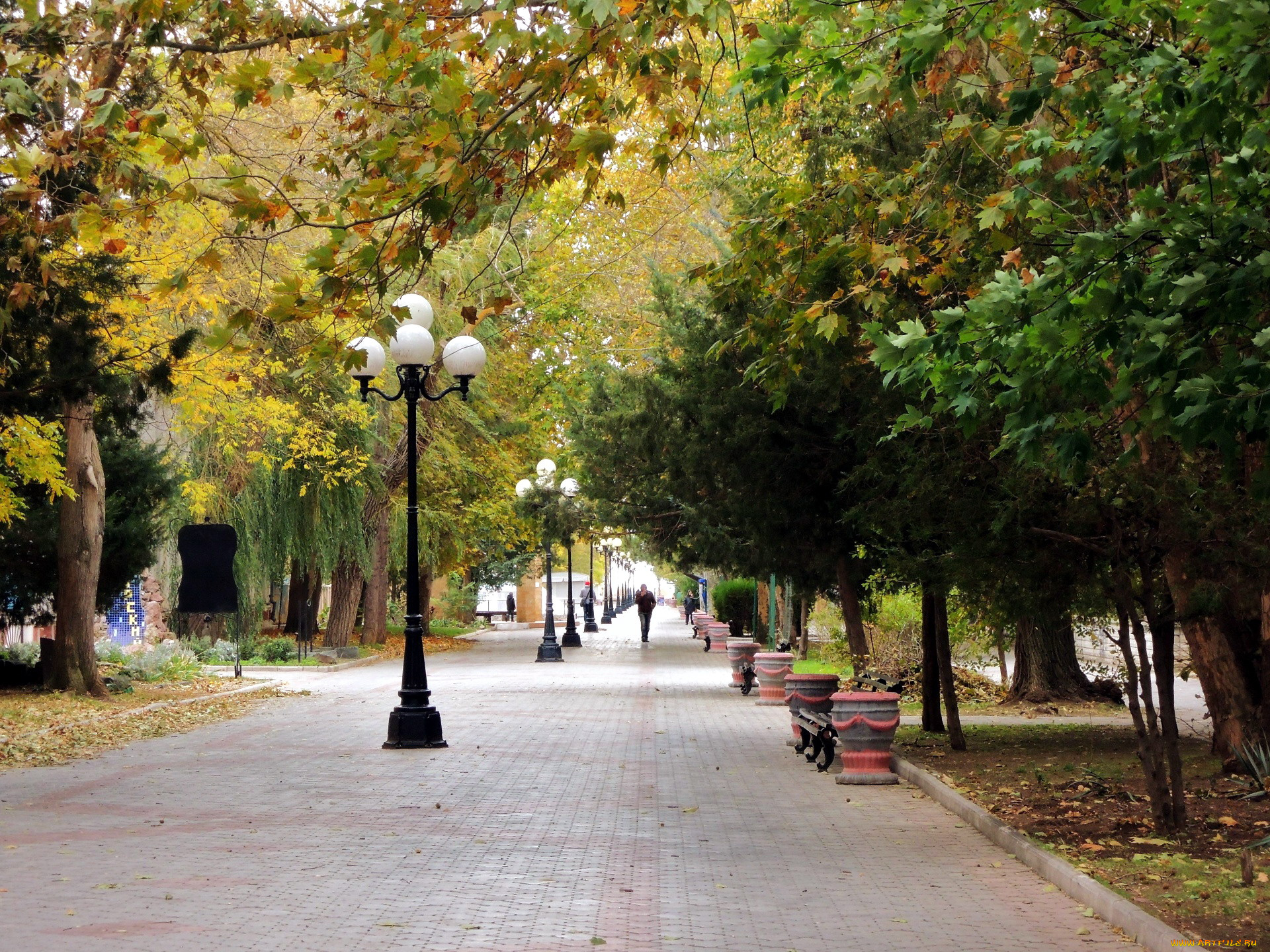 природа, парк, аллея