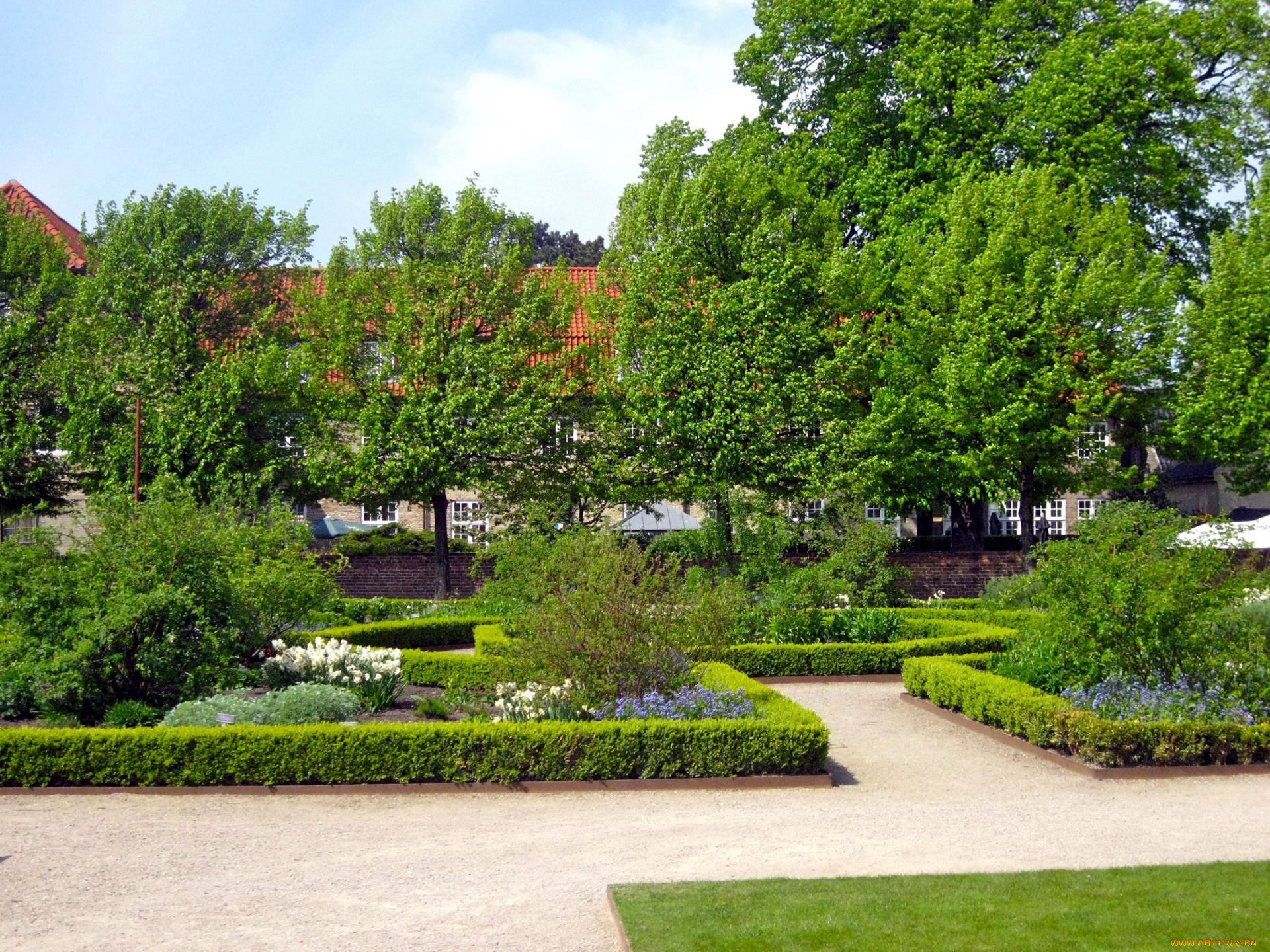 природа, парк, клумбы