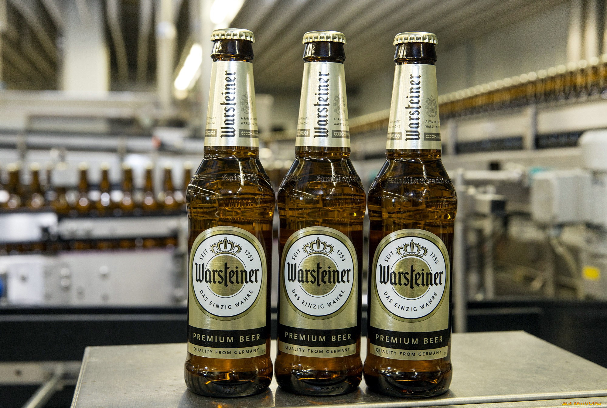 бренды, warsteiner, пиво