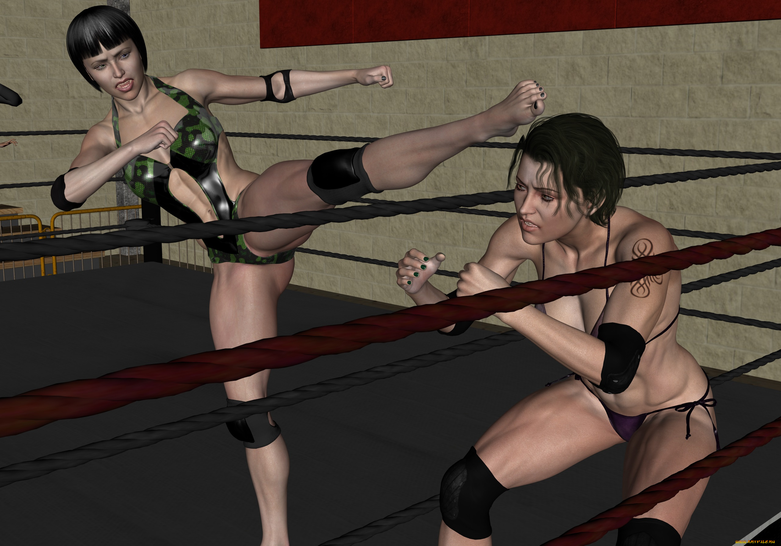 3д, графика, спорт, , sport, фон, взгляд, борьба, девушки