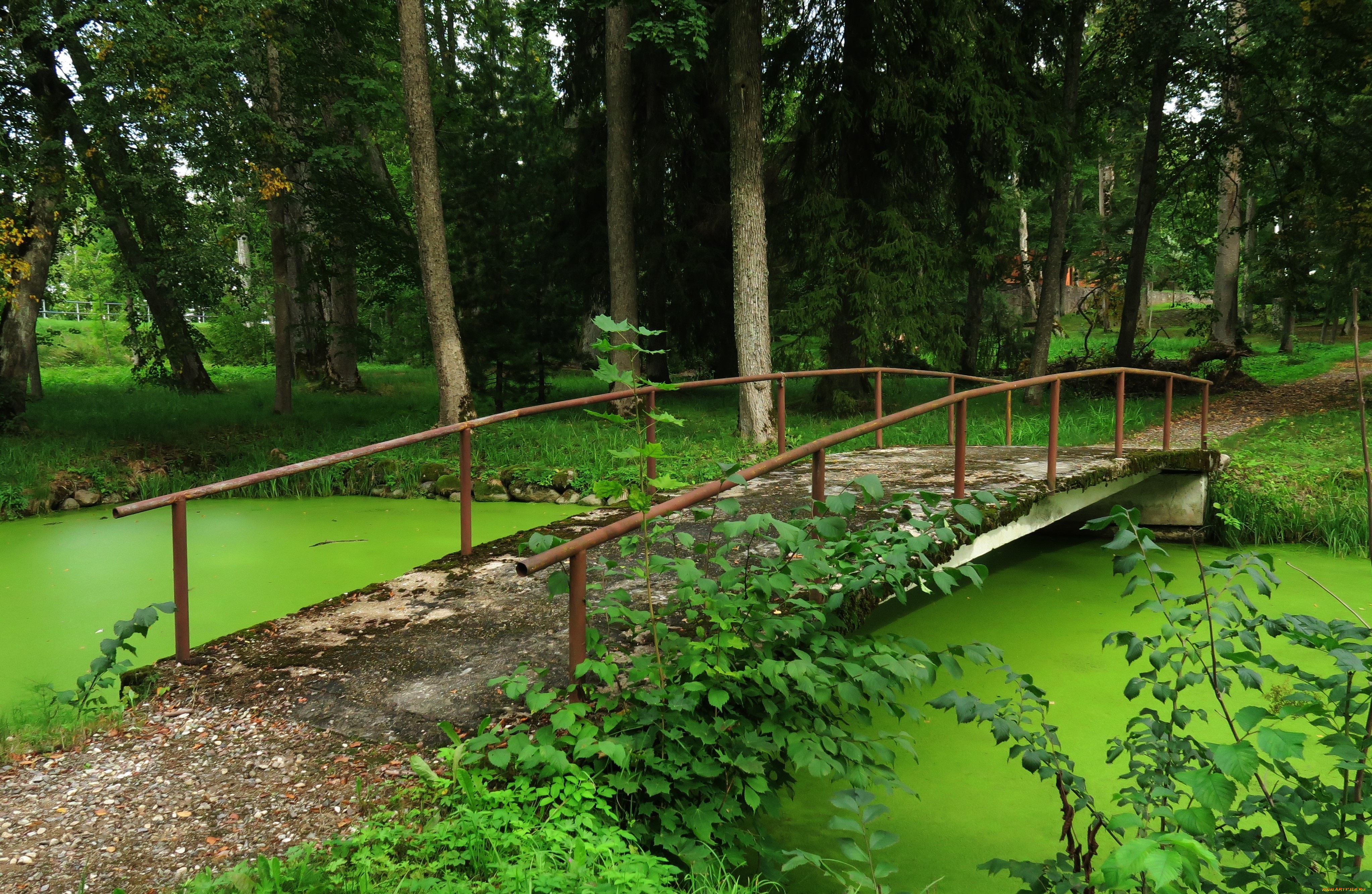 природа, дороги, река, лес, мост