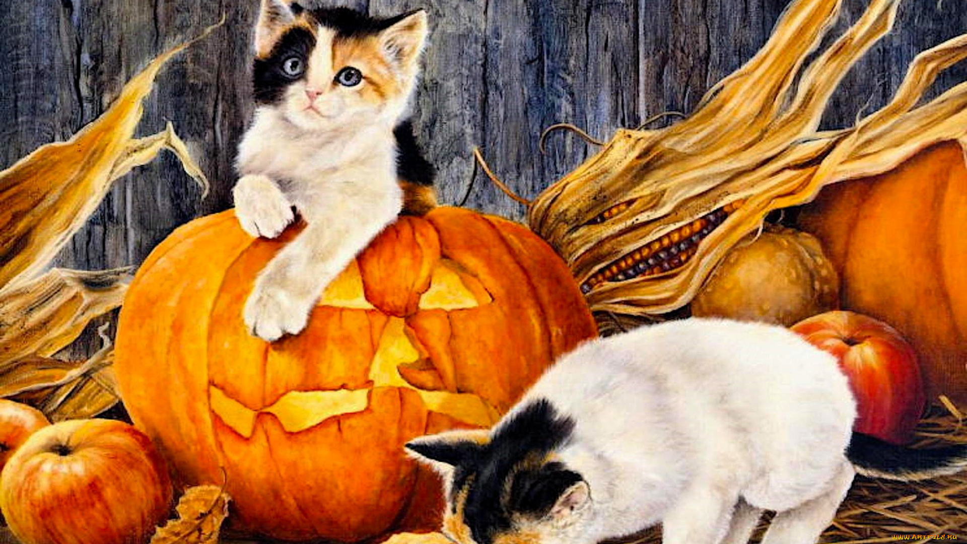 shirley, deaville, рисованное, животные, , коты, котята, тыквы, яблоки, кукуруза