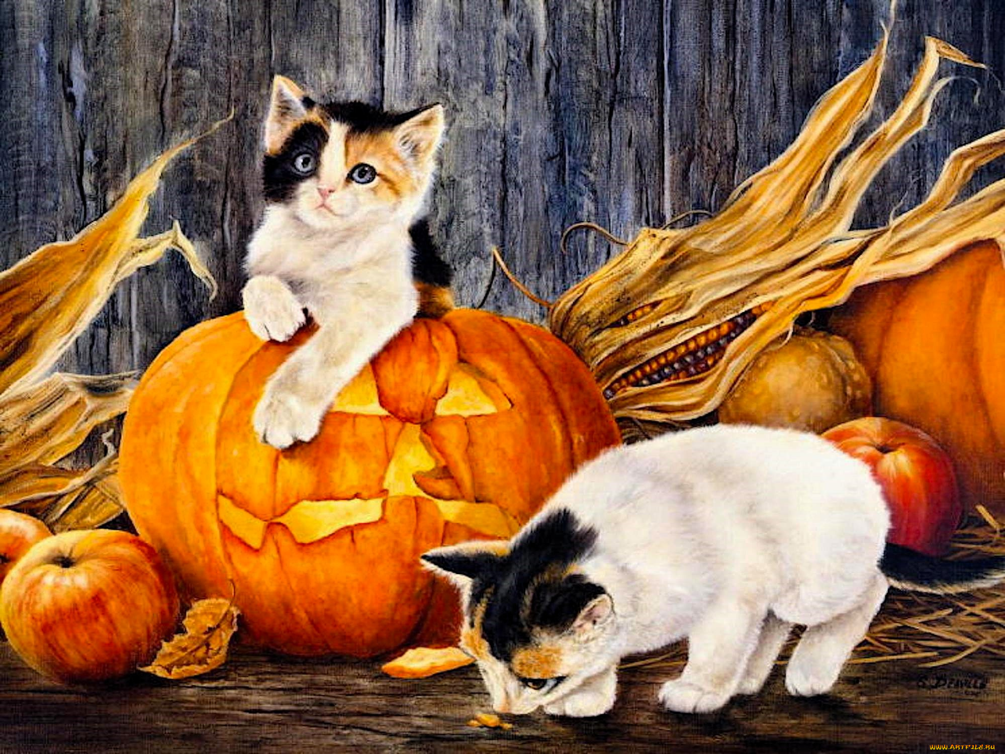 shirley, deaville, рисованное, животные, , коты, котята, тыквы, яблоки, кукуруза