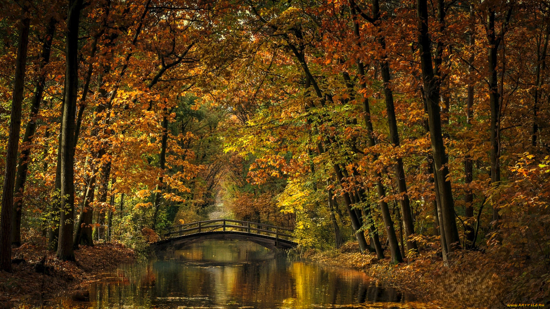 города, -, мосты, мост, река, листья, осень, деревья, парк