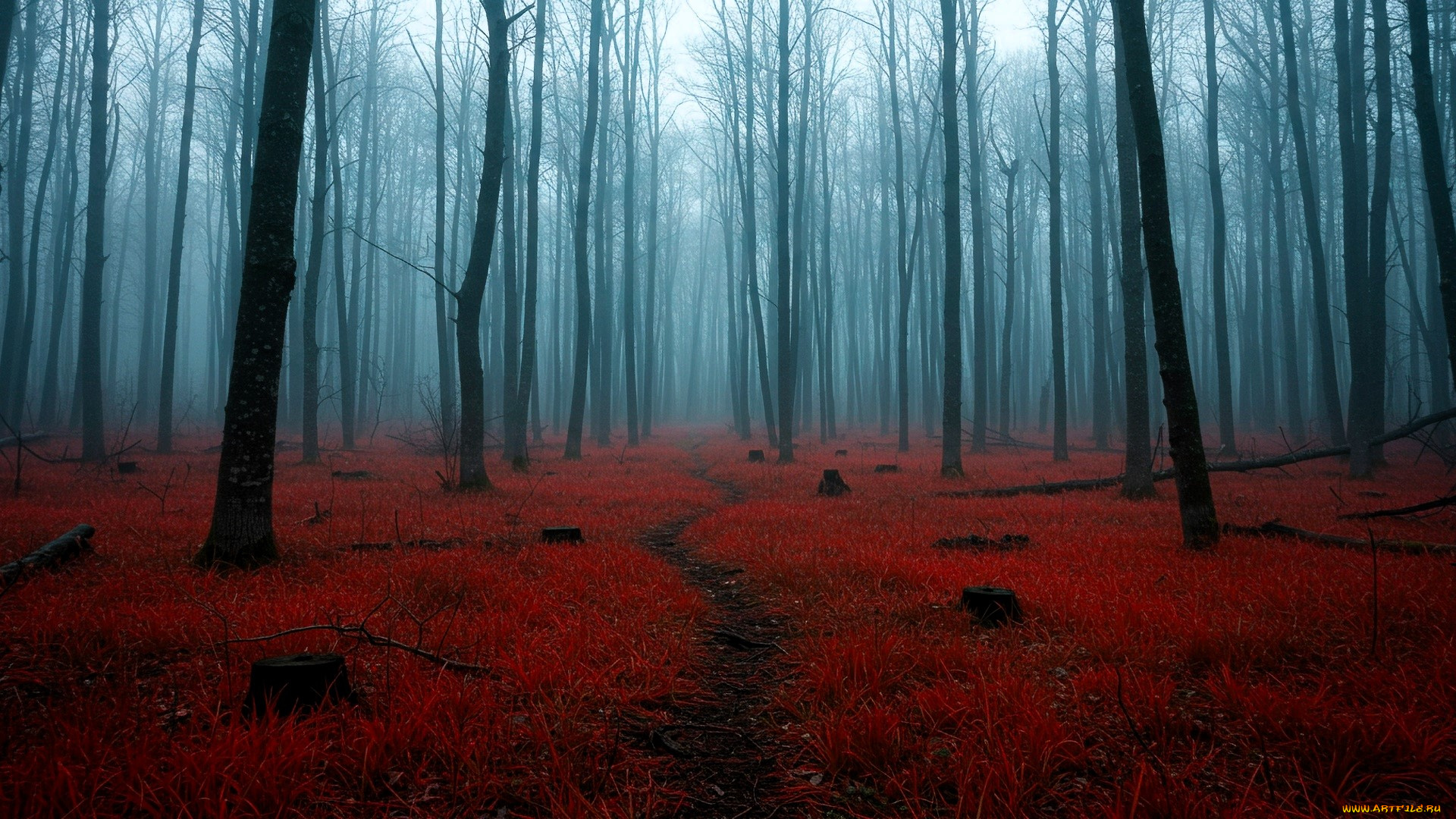 природа, лес, деревья, туман, трава, пни, тропа, осень