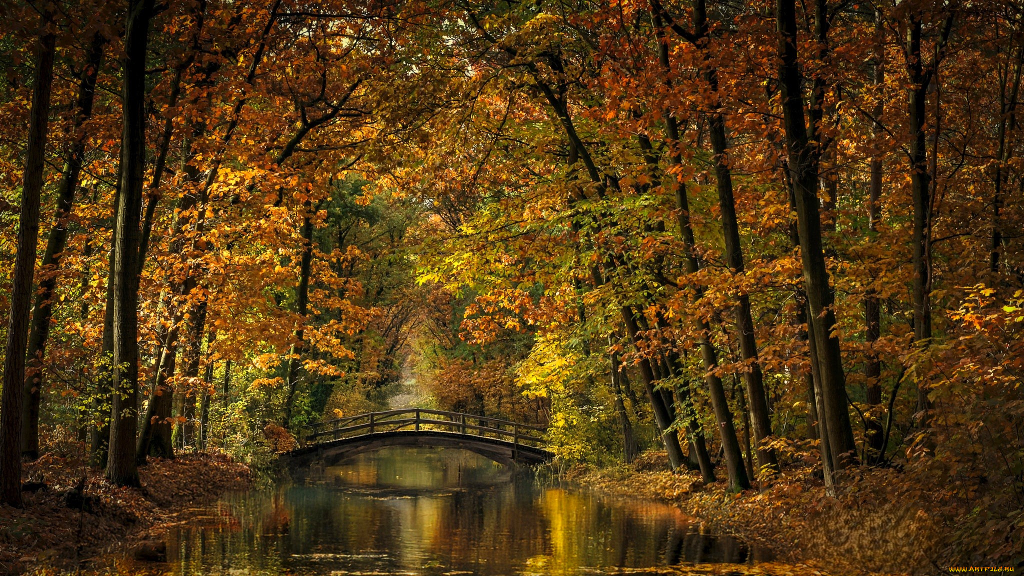 города, -, мосты, мост, река, листья, осень, деревья, парк