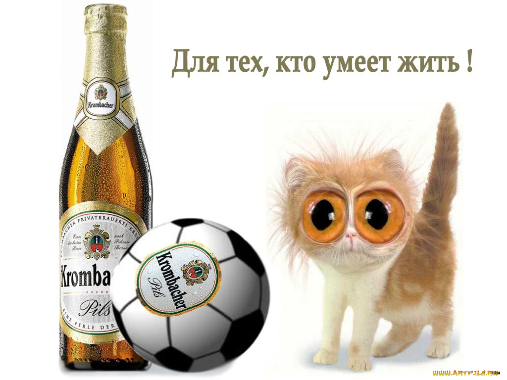 футбол, юмор, приколы