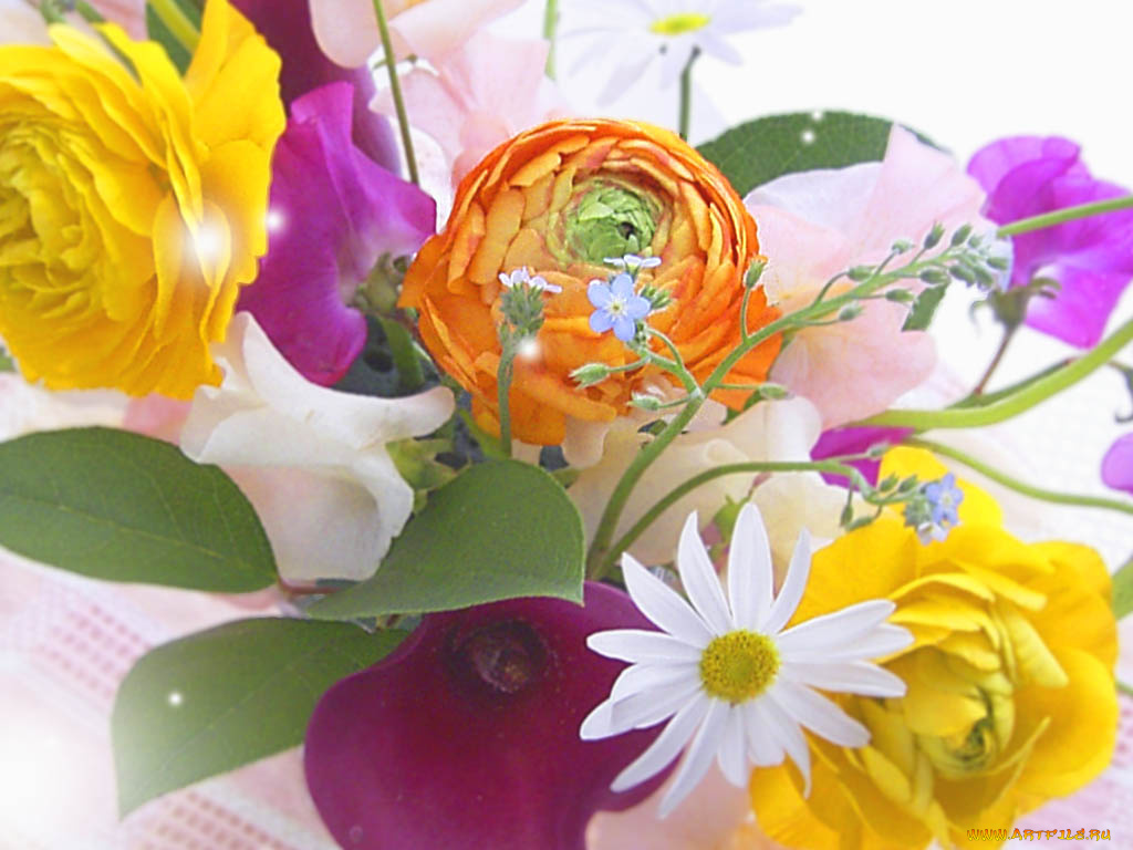 цветы, разные, вместе
