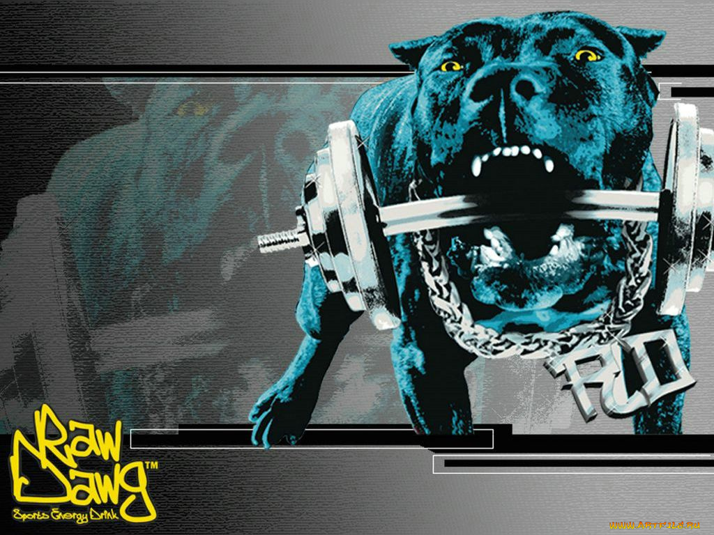 спорт, другое