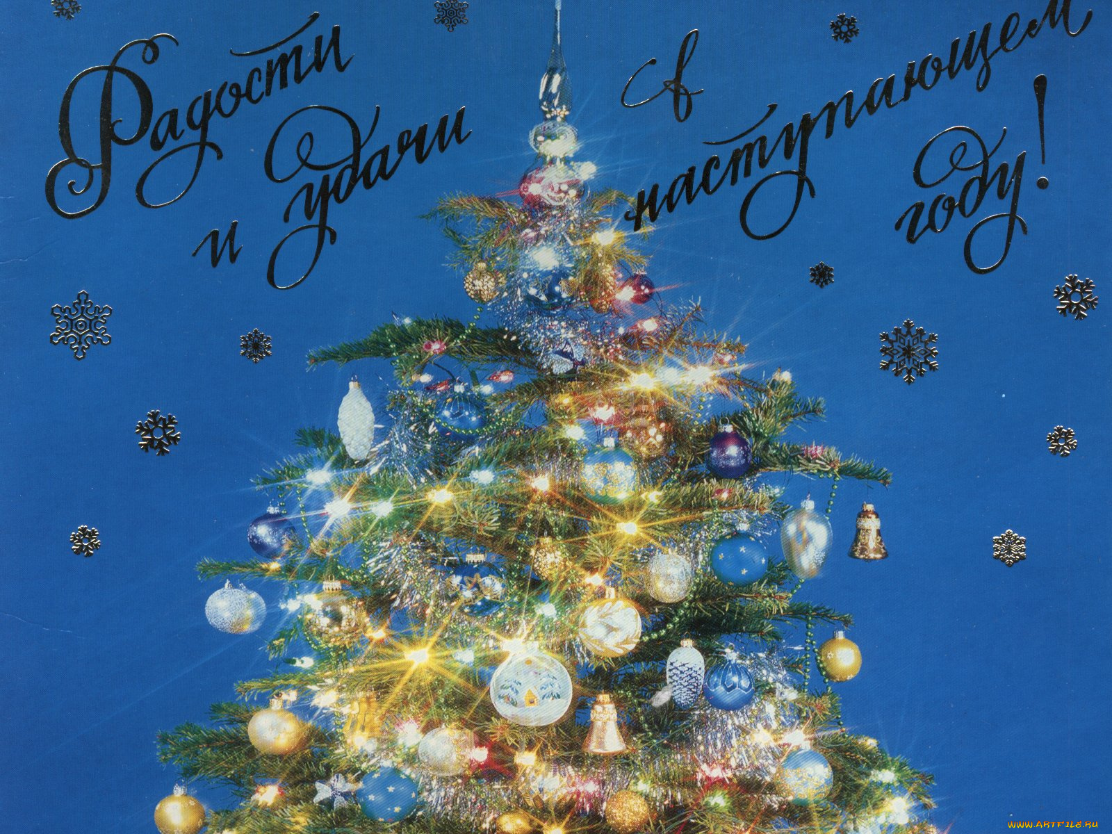 праздничные, Ёлки