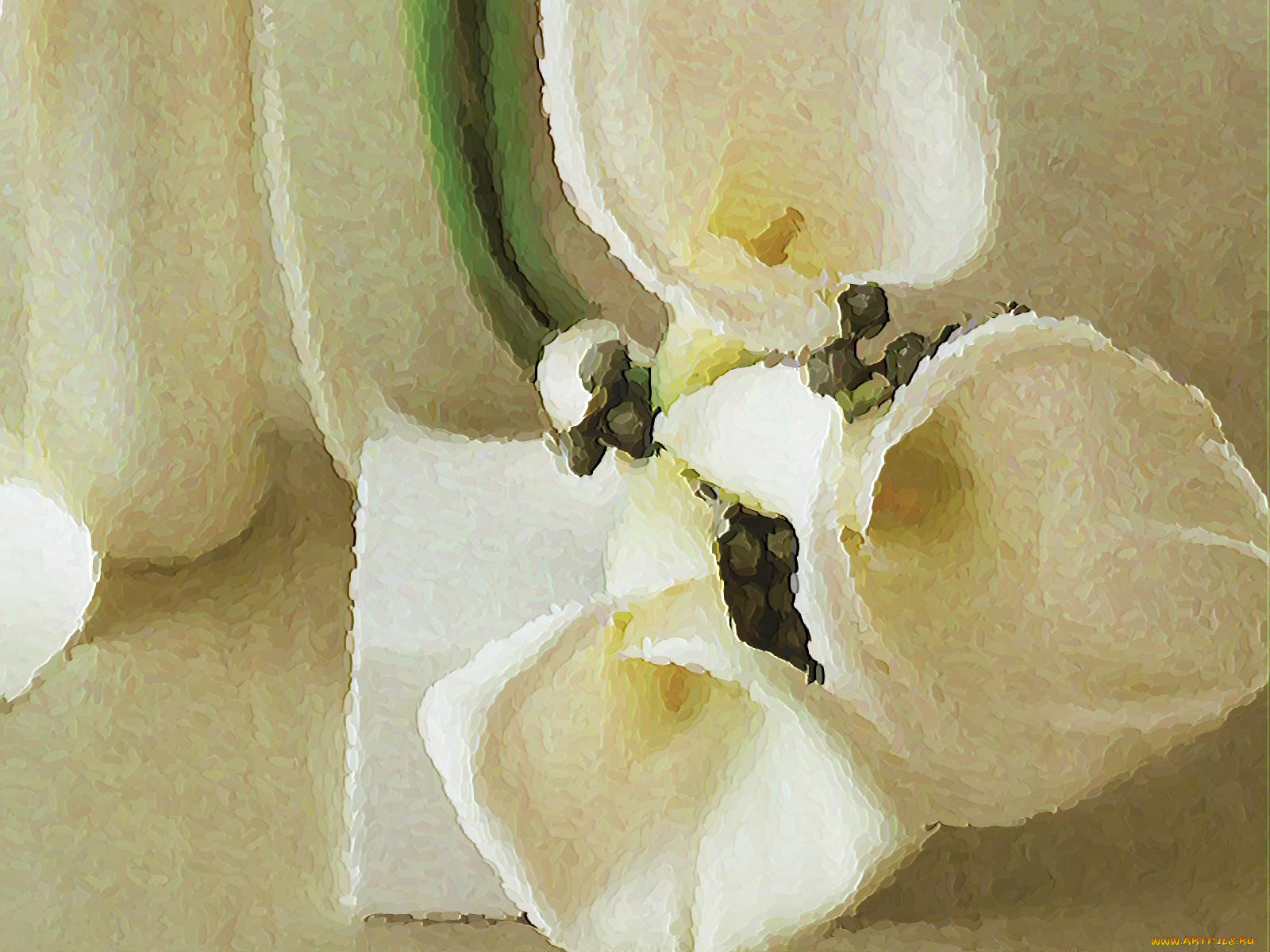 рисованные, цветы